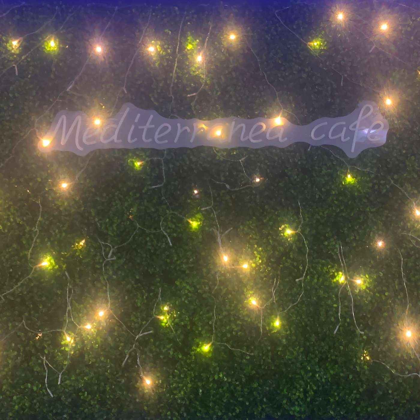 Tuesday @ The Mediterranea Cafe