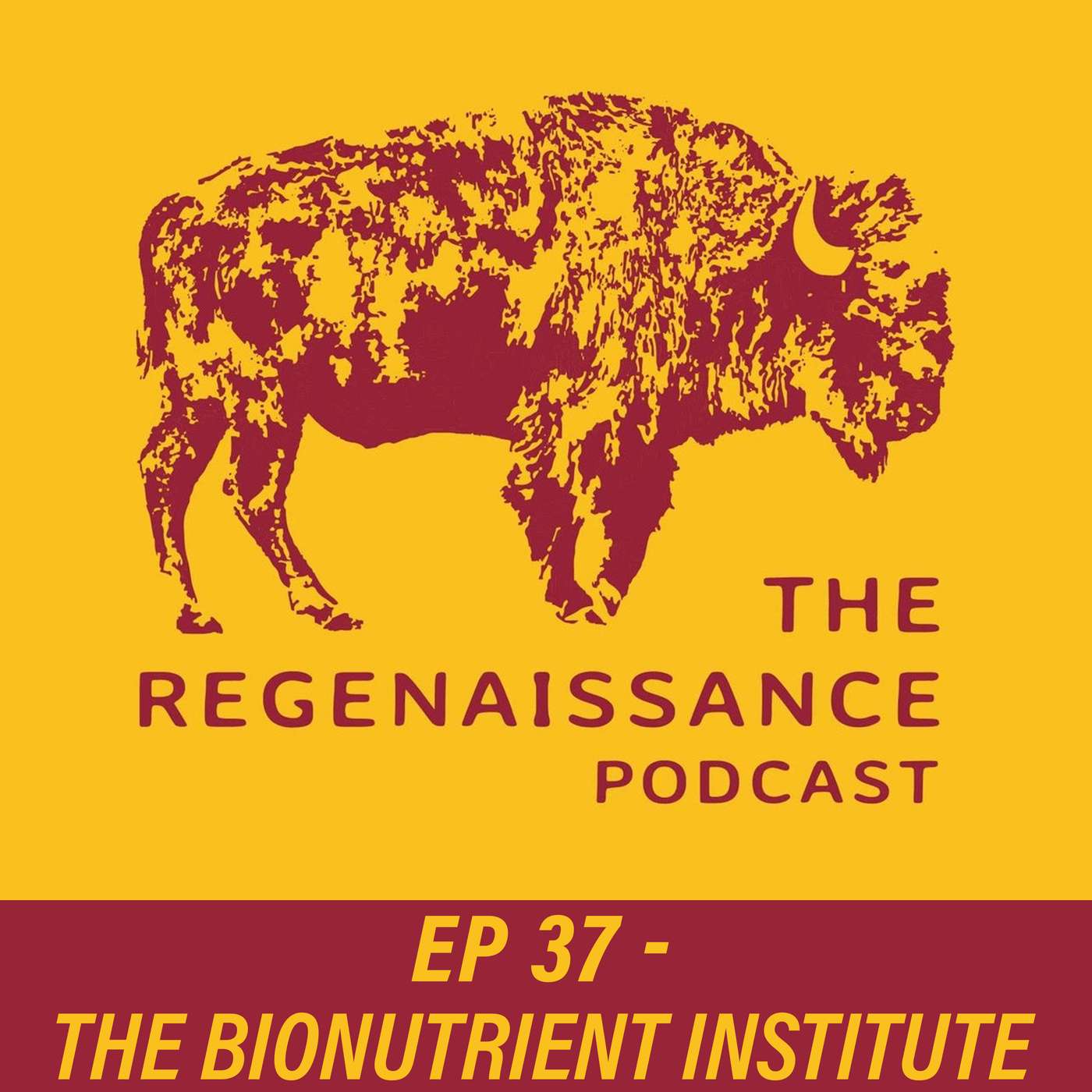 Dan Kittredge @ The Bionutrient Institute | Ep #37