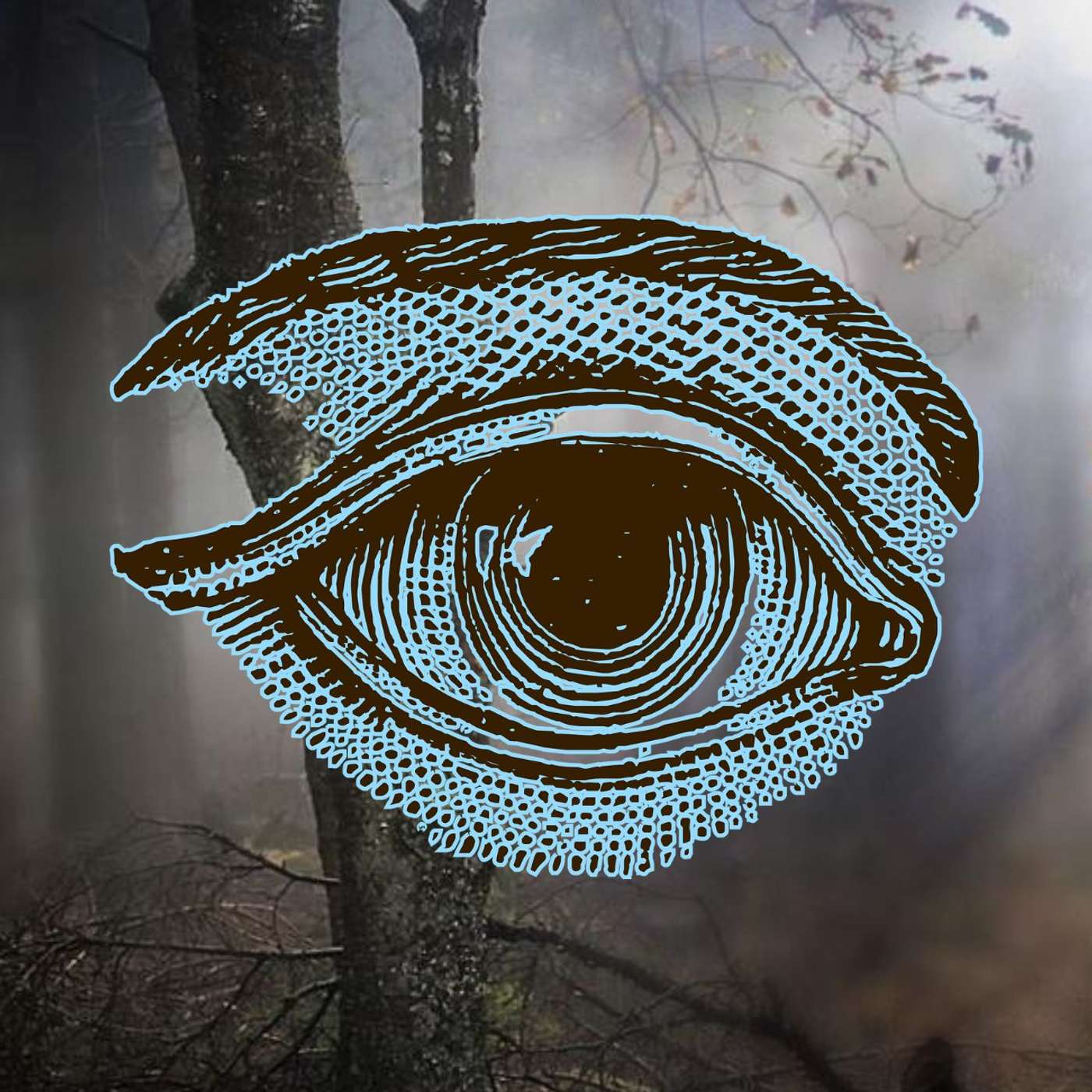 A Cunning Man's Journal