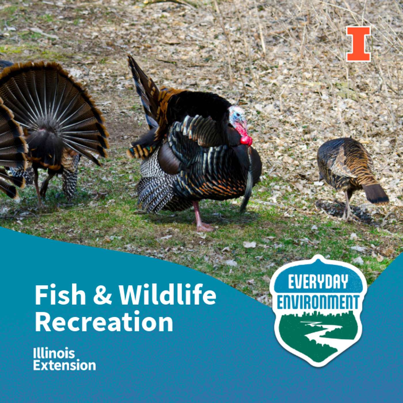 Funding the wild: the role of outdoor recreation in conservation