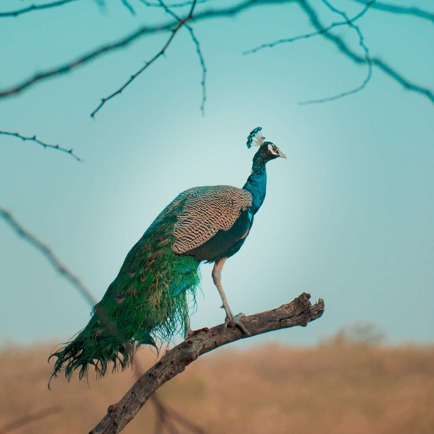 The Greatest Truths - Telugu