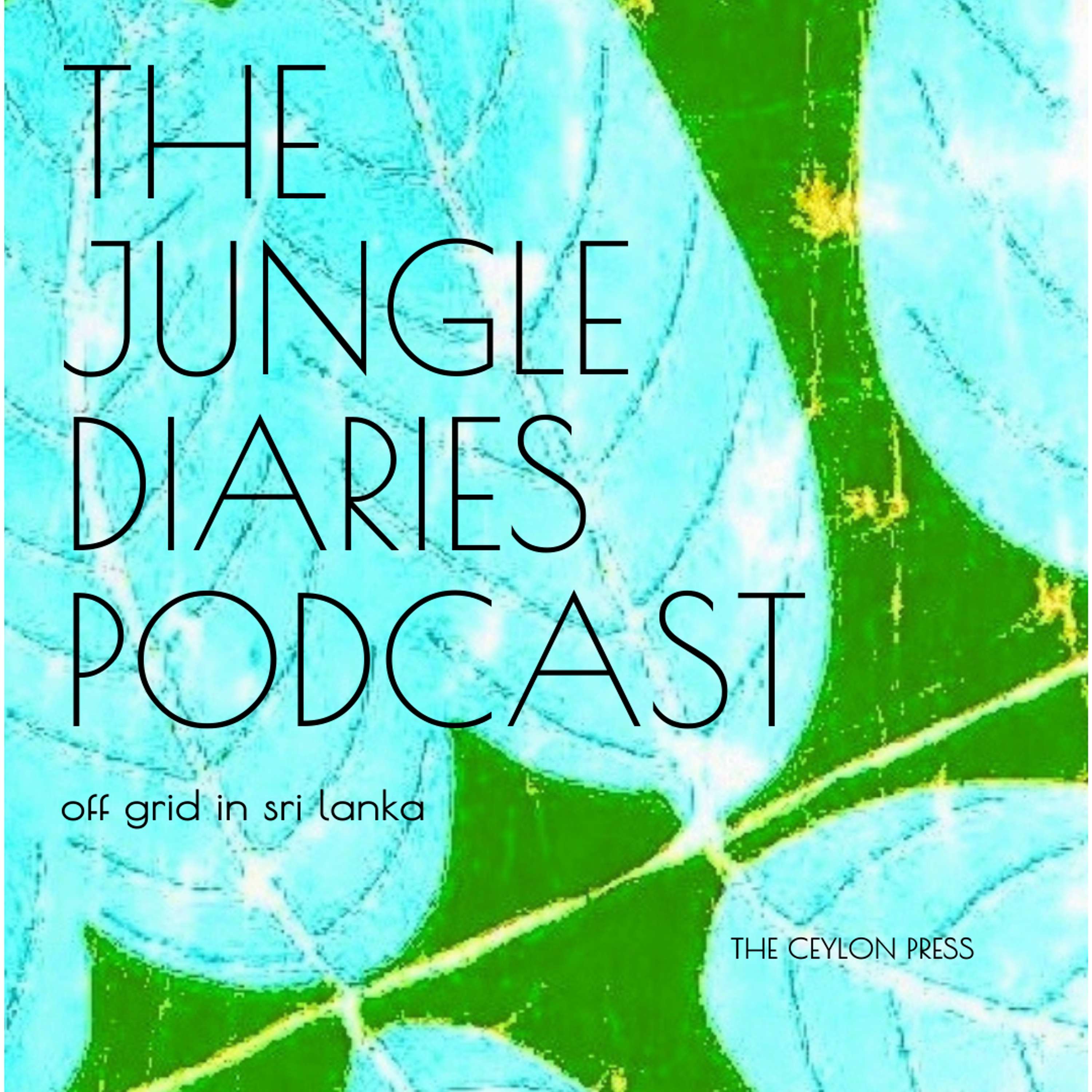 The Jungle Diaries