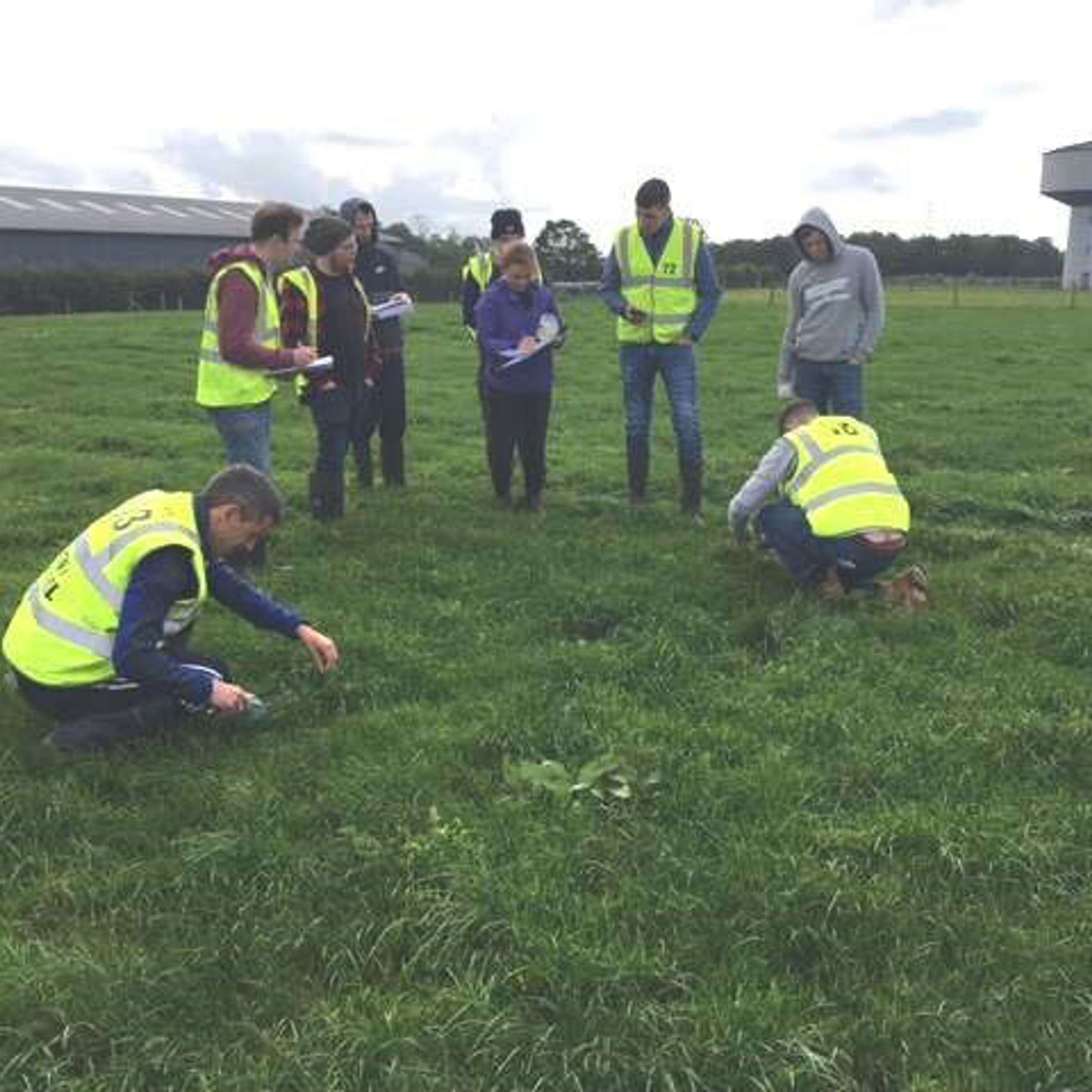 What is the right Teagasc course for me?