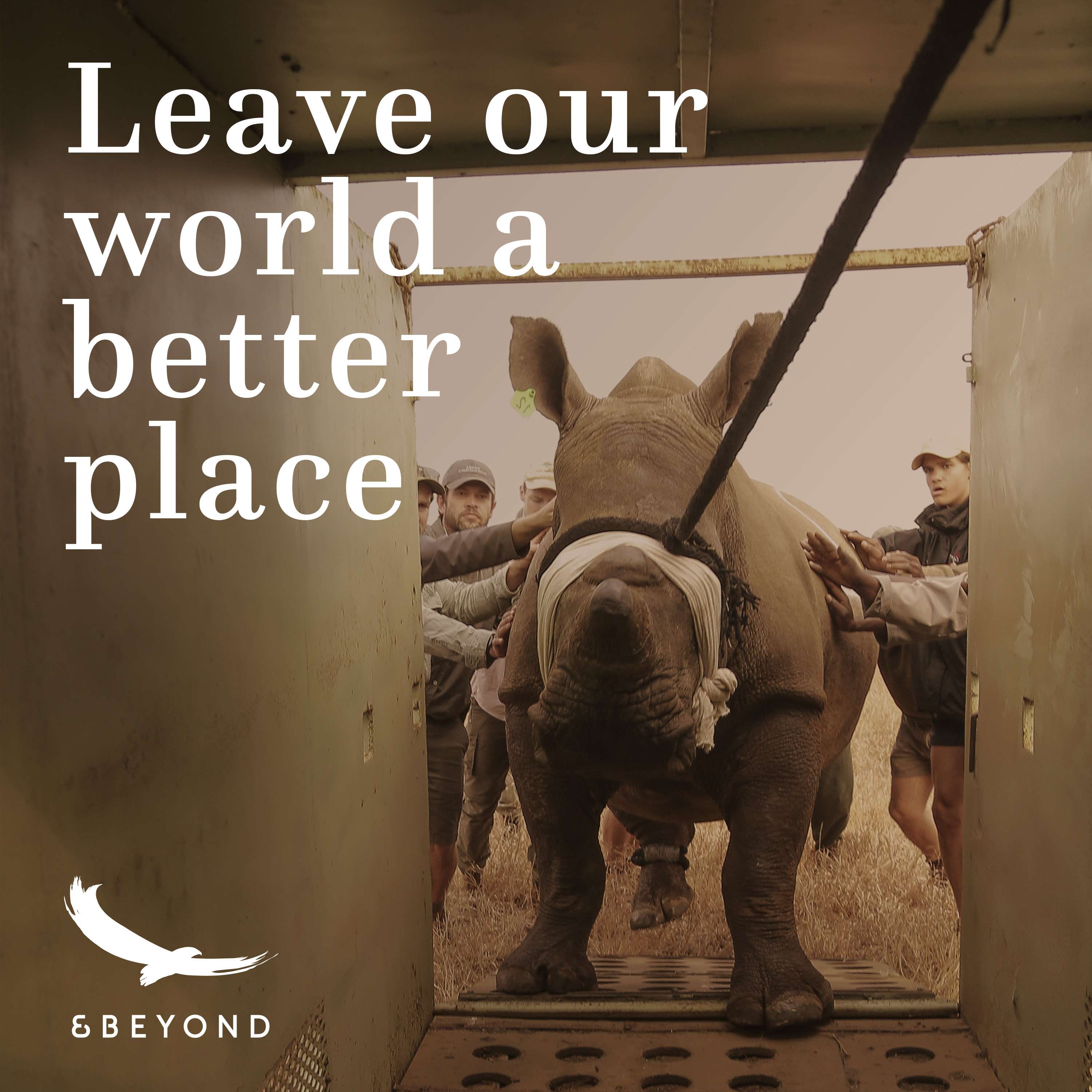 Better World