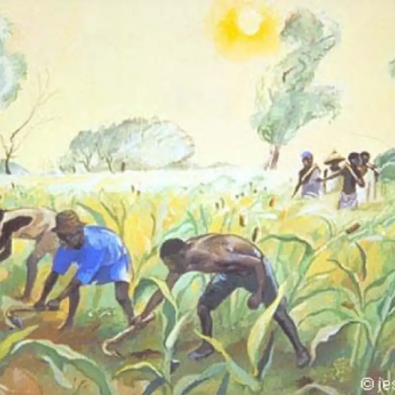 Twenty-Seventh Sunday in Ordinary Time C