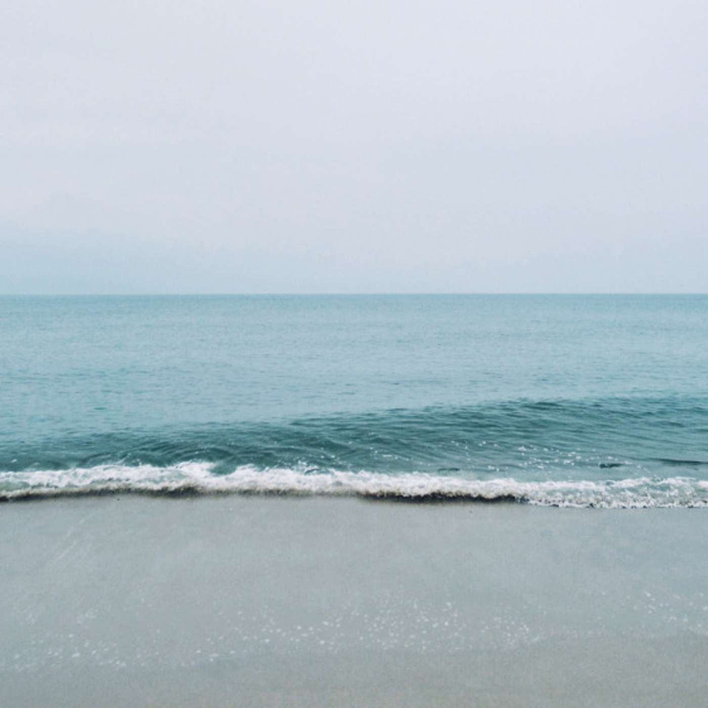 Art Wellness Exchange®-Demo