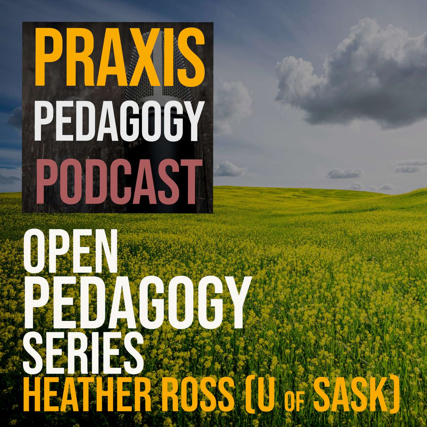 praxispedagogy podcast