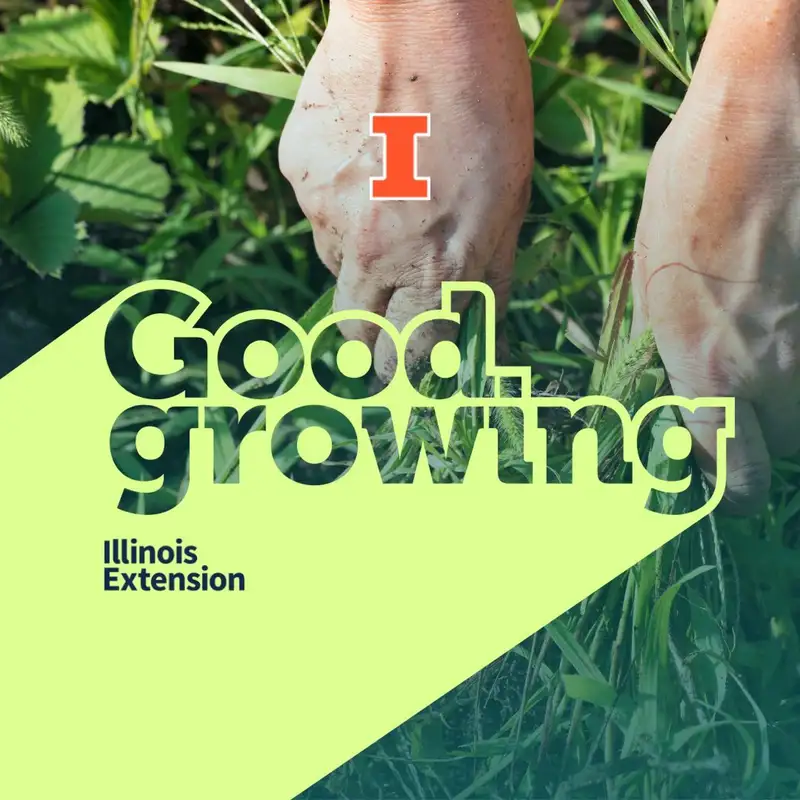 Ep. 108 - Answering your weed management questions | #GoodGrowing