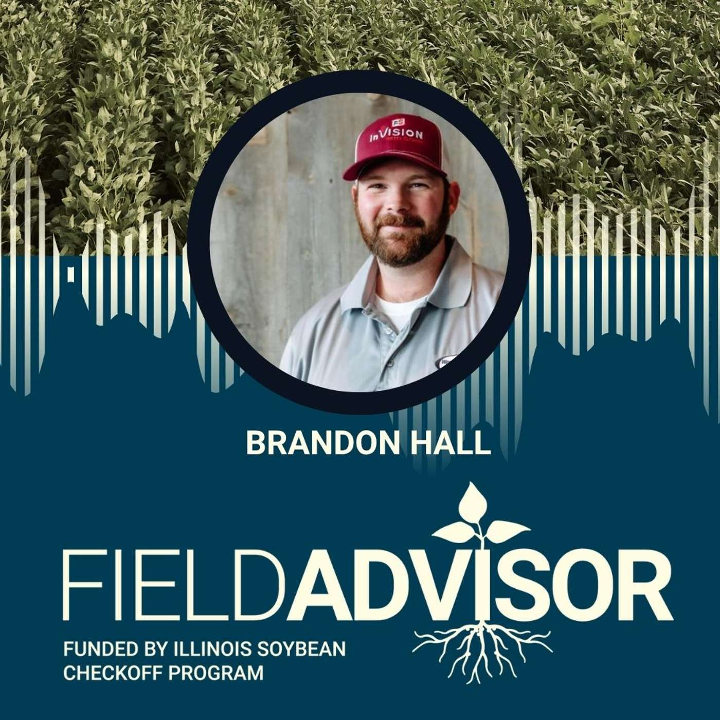 Field Advisor