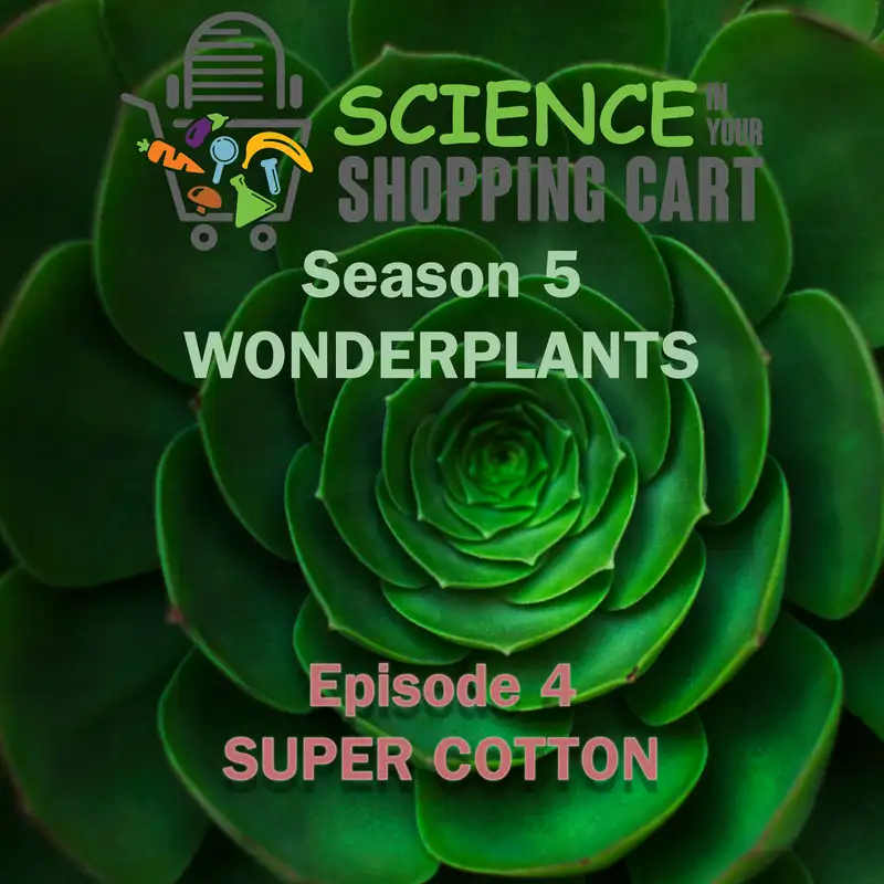 Season 5: WonderPlants | Episode 4: Super Cotton