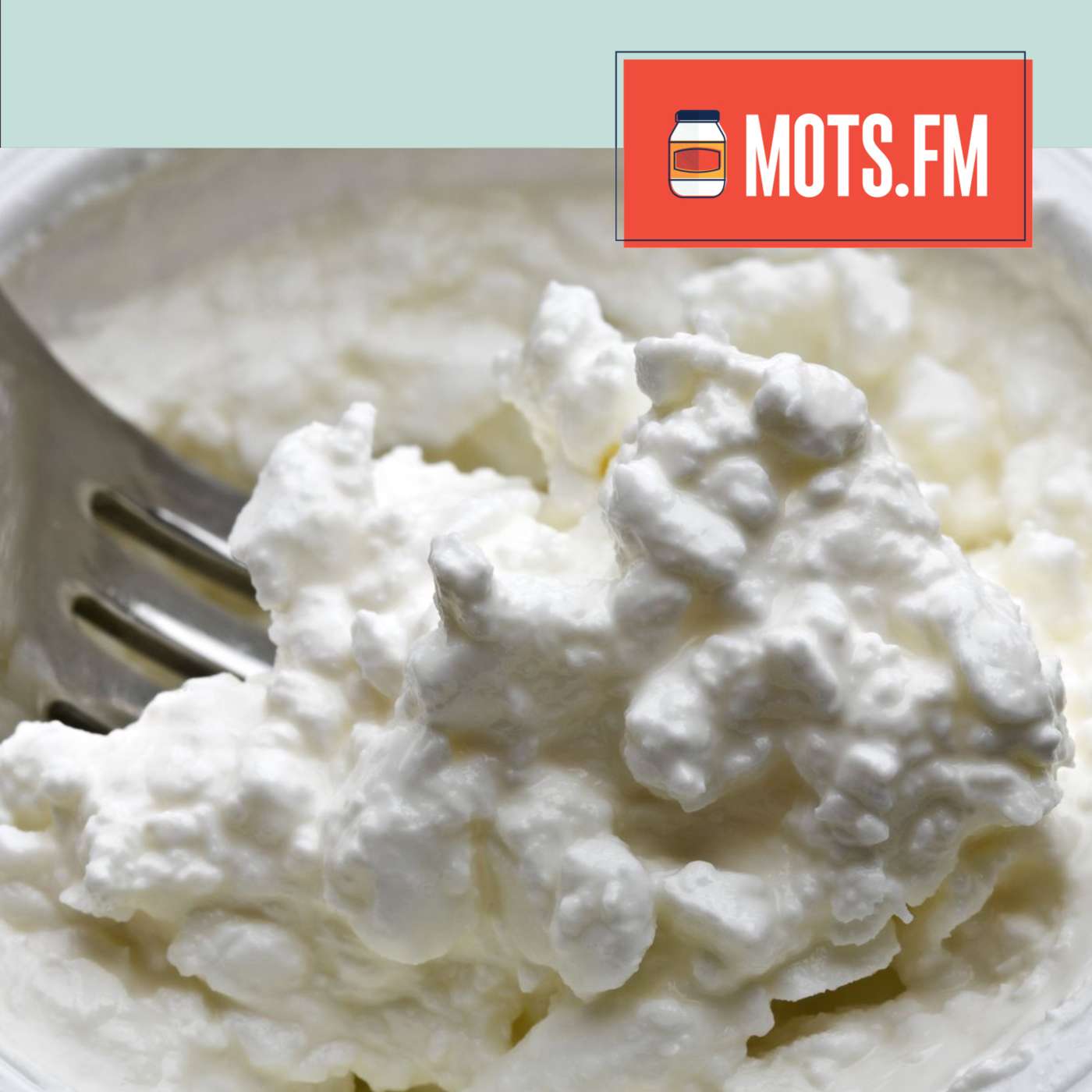 Everything is Cottage Cheese Everything is Cottage Cheese