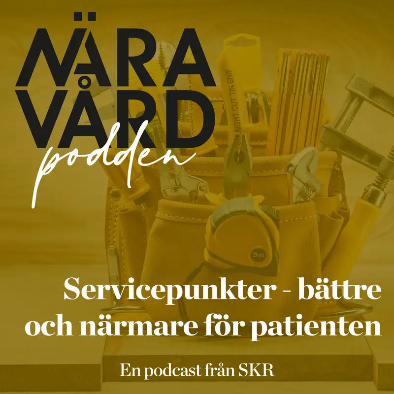 Servicepunkter - bättre och närmare för patienten - Evelina Markström