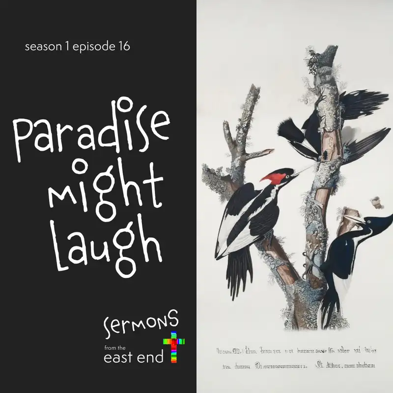 Paradise Might Laugh