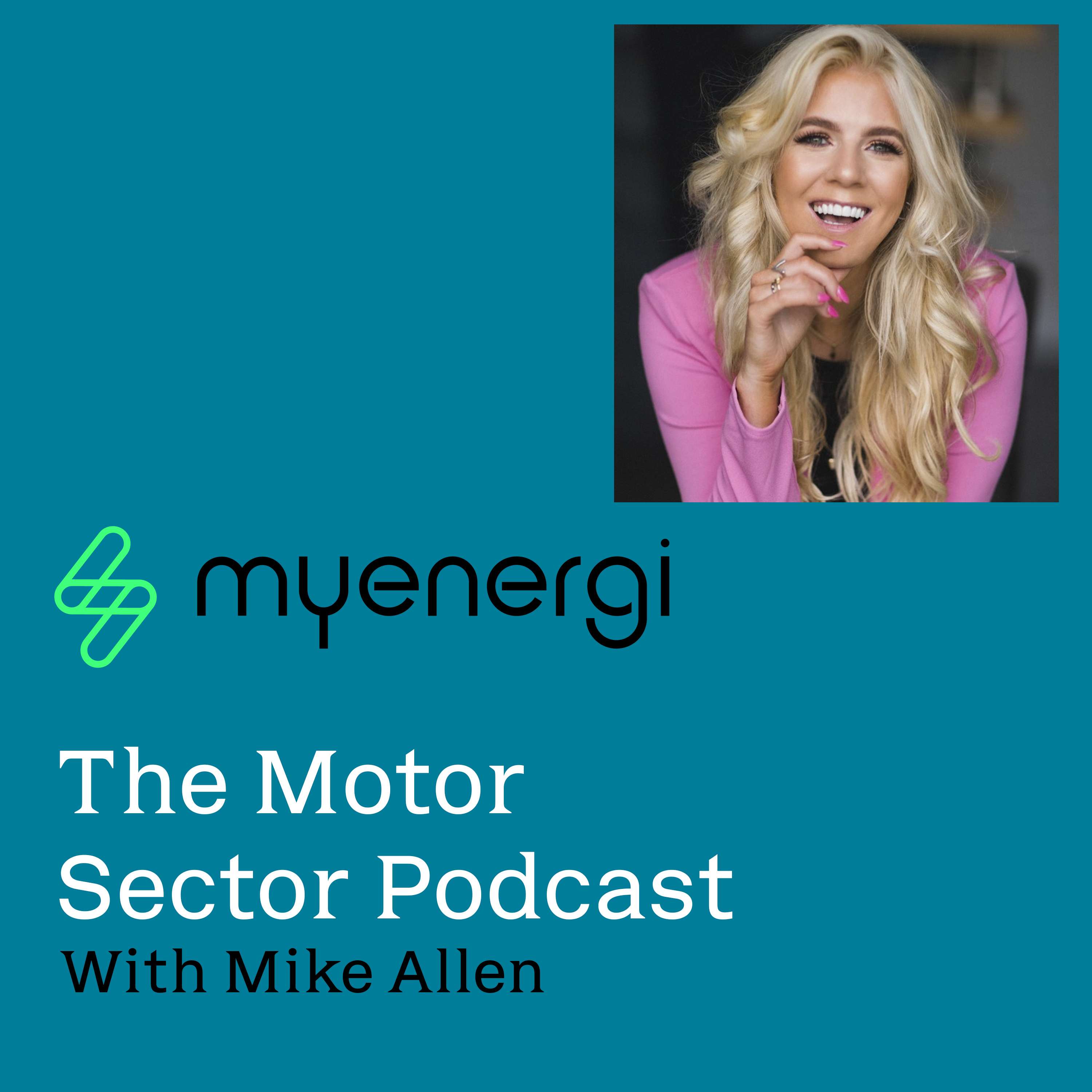 The Motor Sector