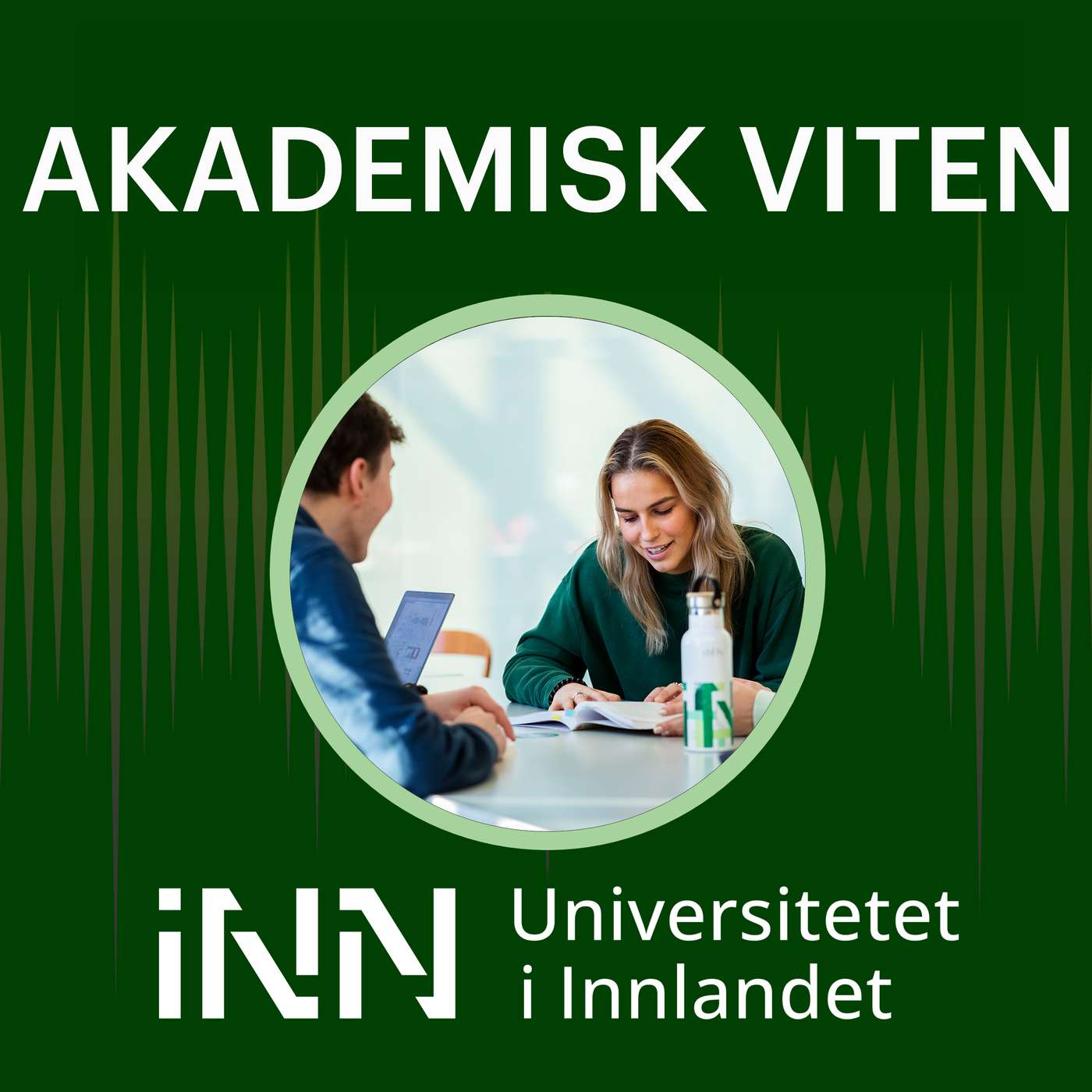 Akademisk viten