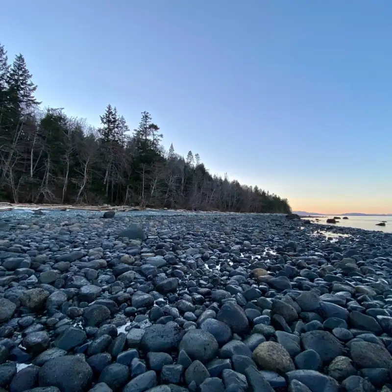 Comox Valley Regional District seeks input on new nature park