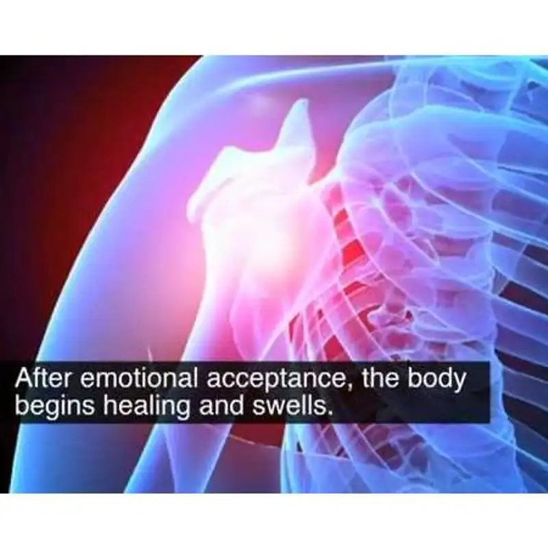 A Profound Outlook on Disease & Cancer: German New Medicine