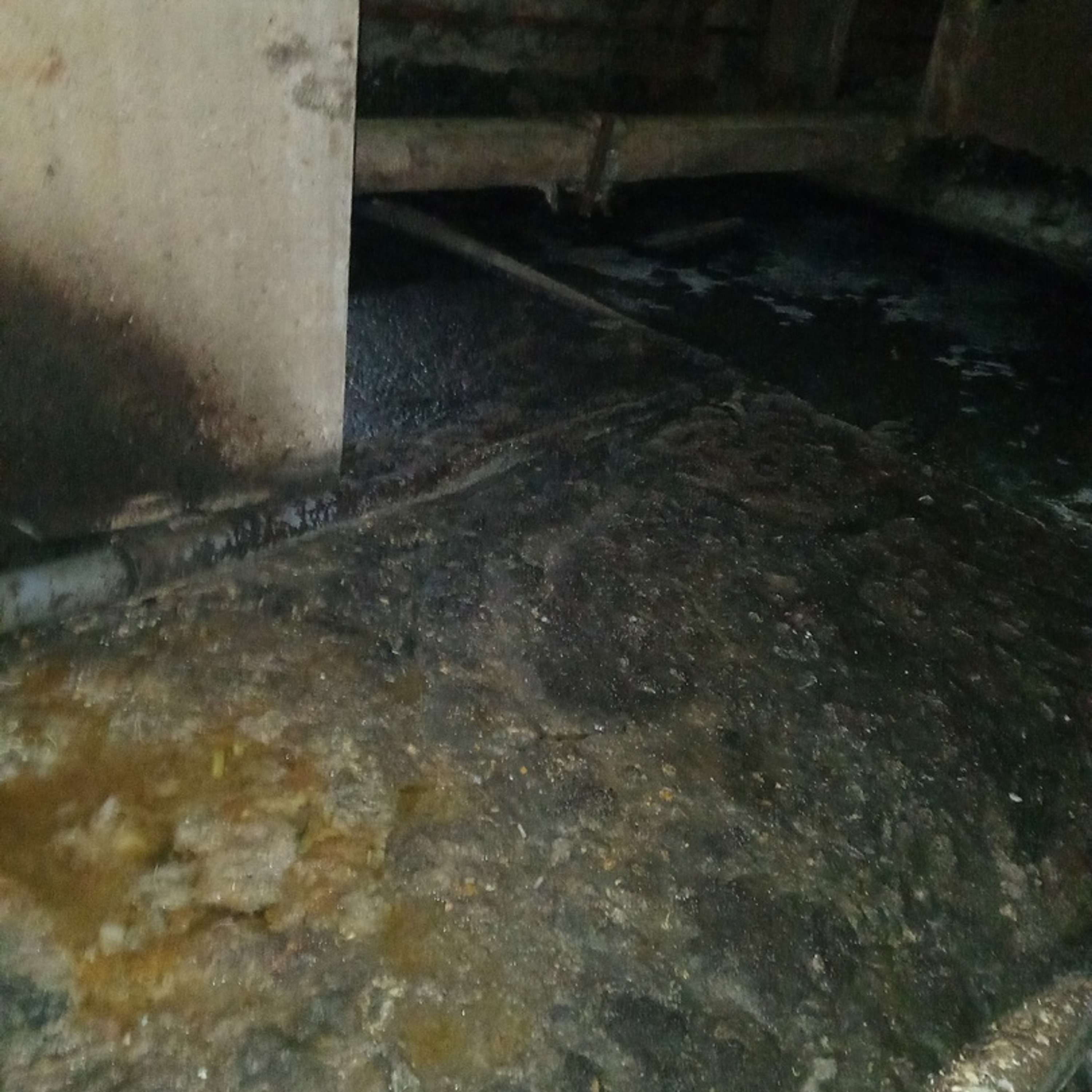 Жительница Сафоново, Мурманская область: “Не бомбоубежище, а газовая камера”