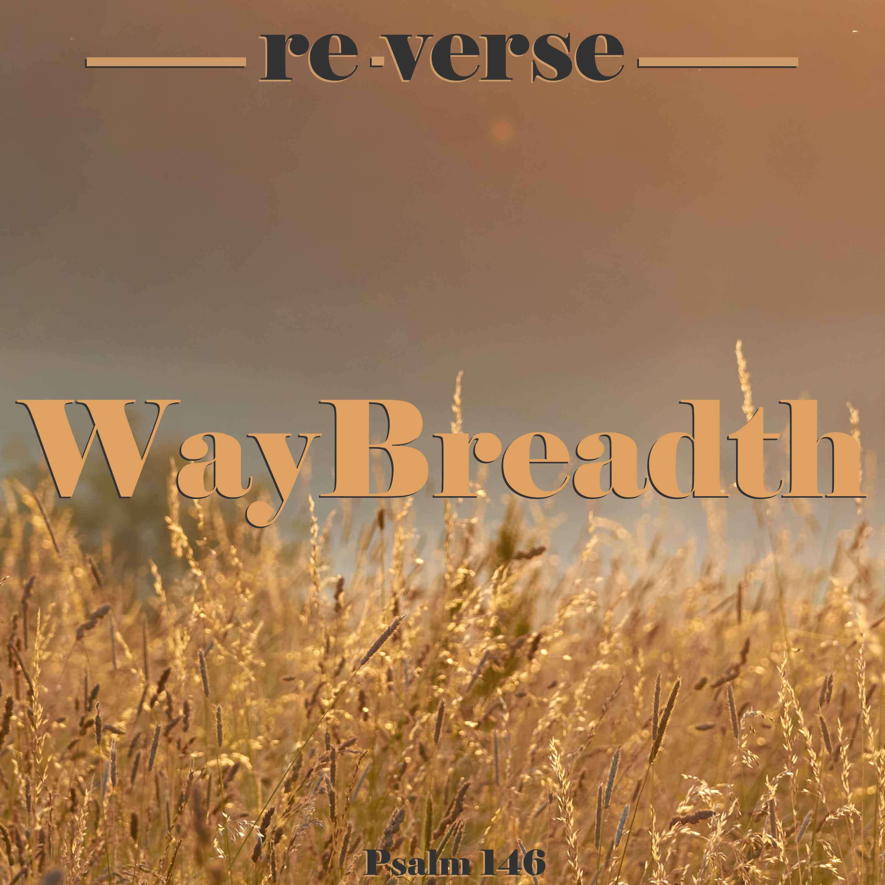 re-verse