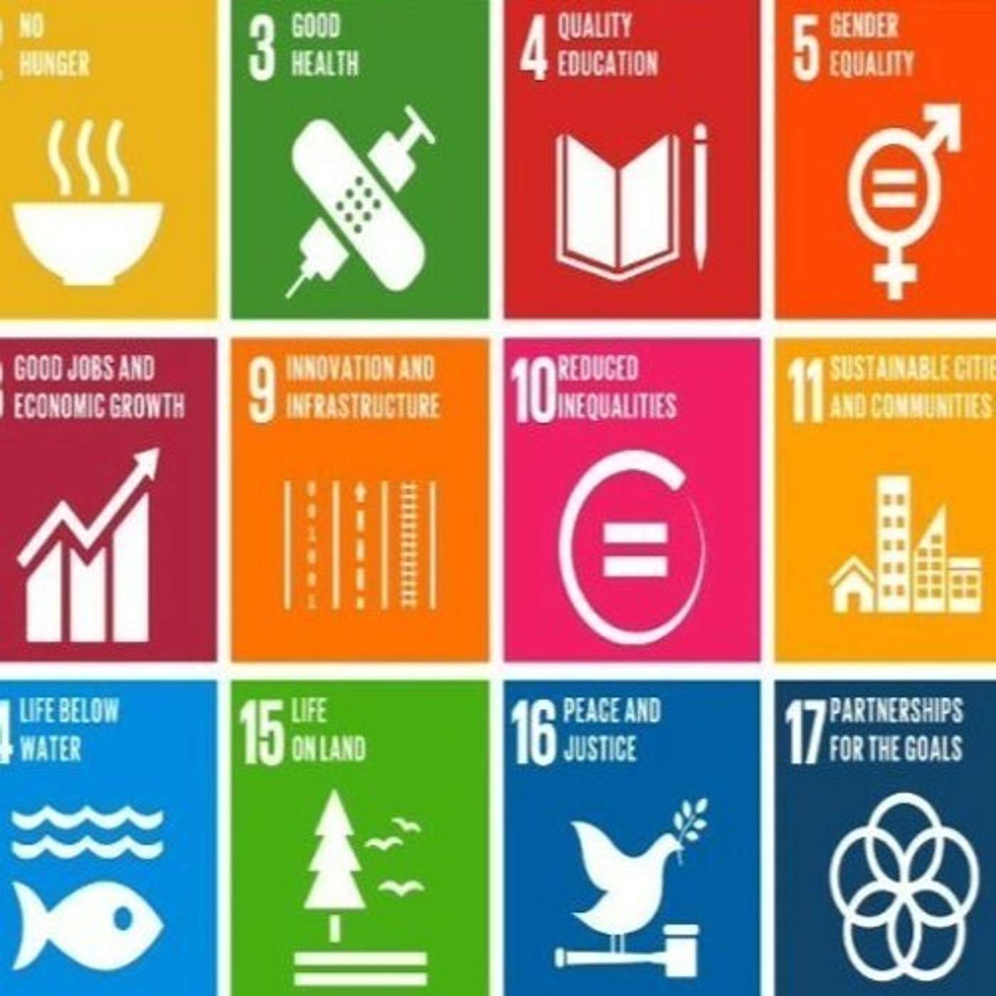 Gärtner on Climate Change, Corona, and Christianity: Current Opportunities for Religious Education