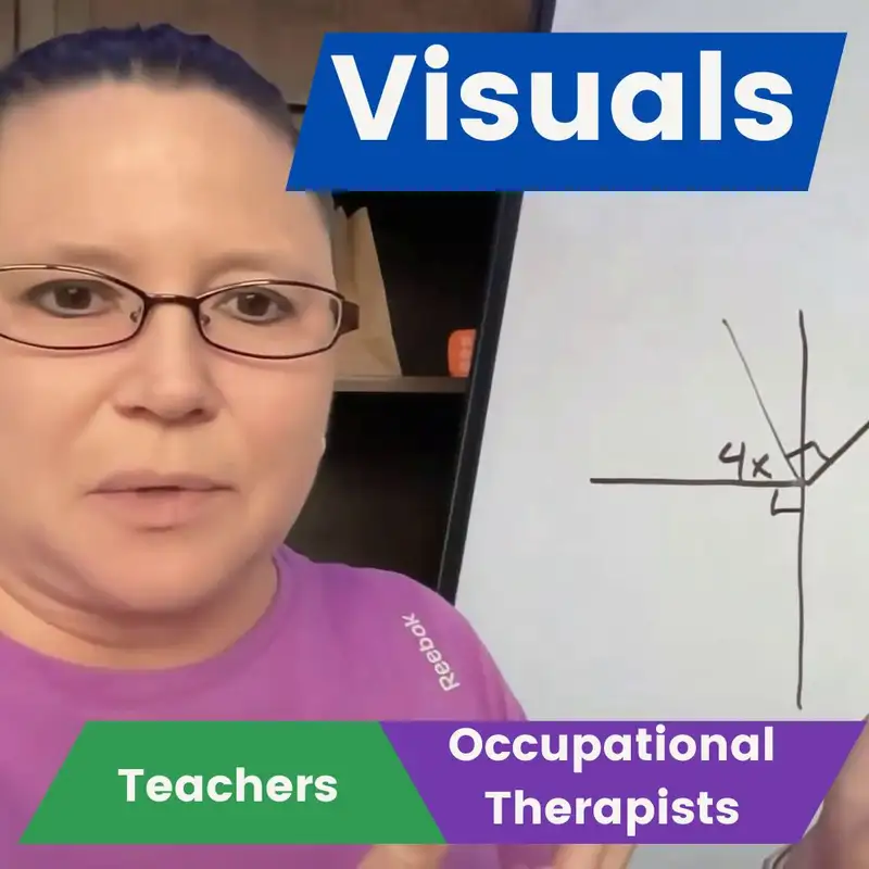 Visual strategies for teachers and occupational therapists: S2 E11