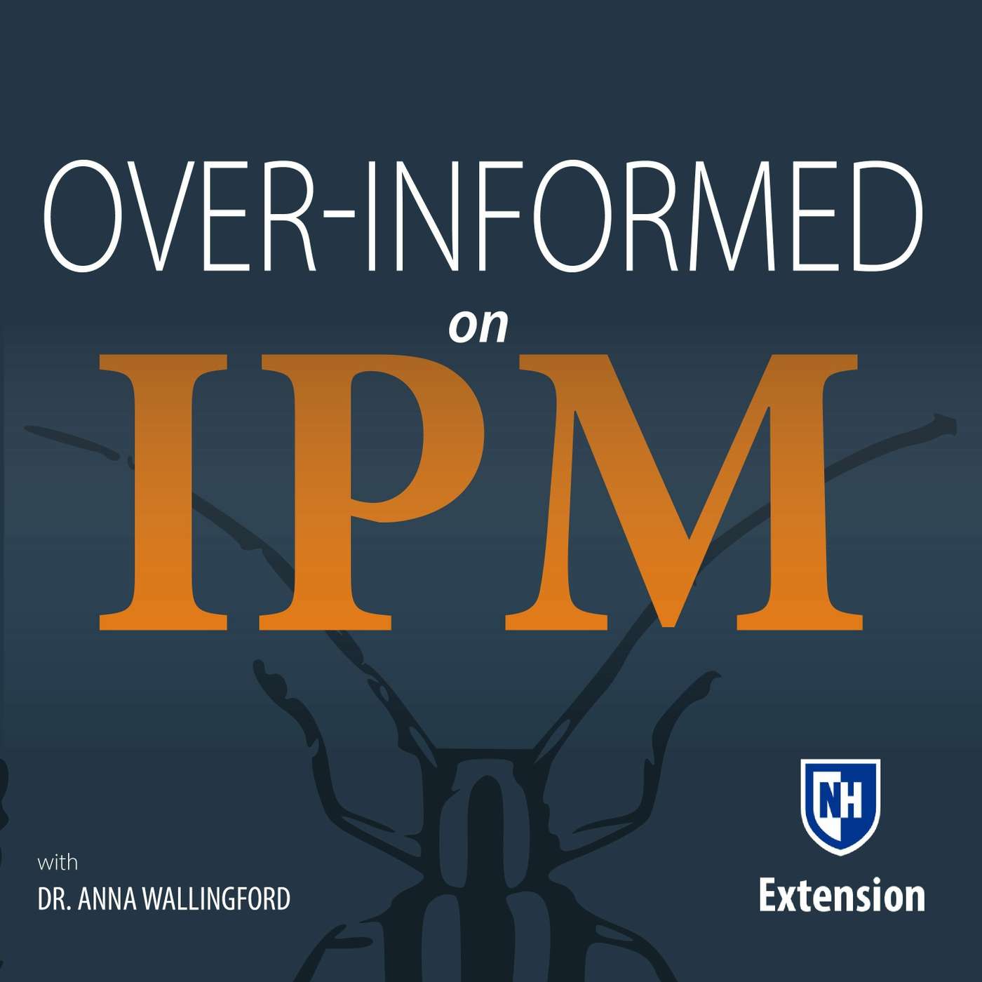 024 Predicting BMSB Outbreaks (part 2)