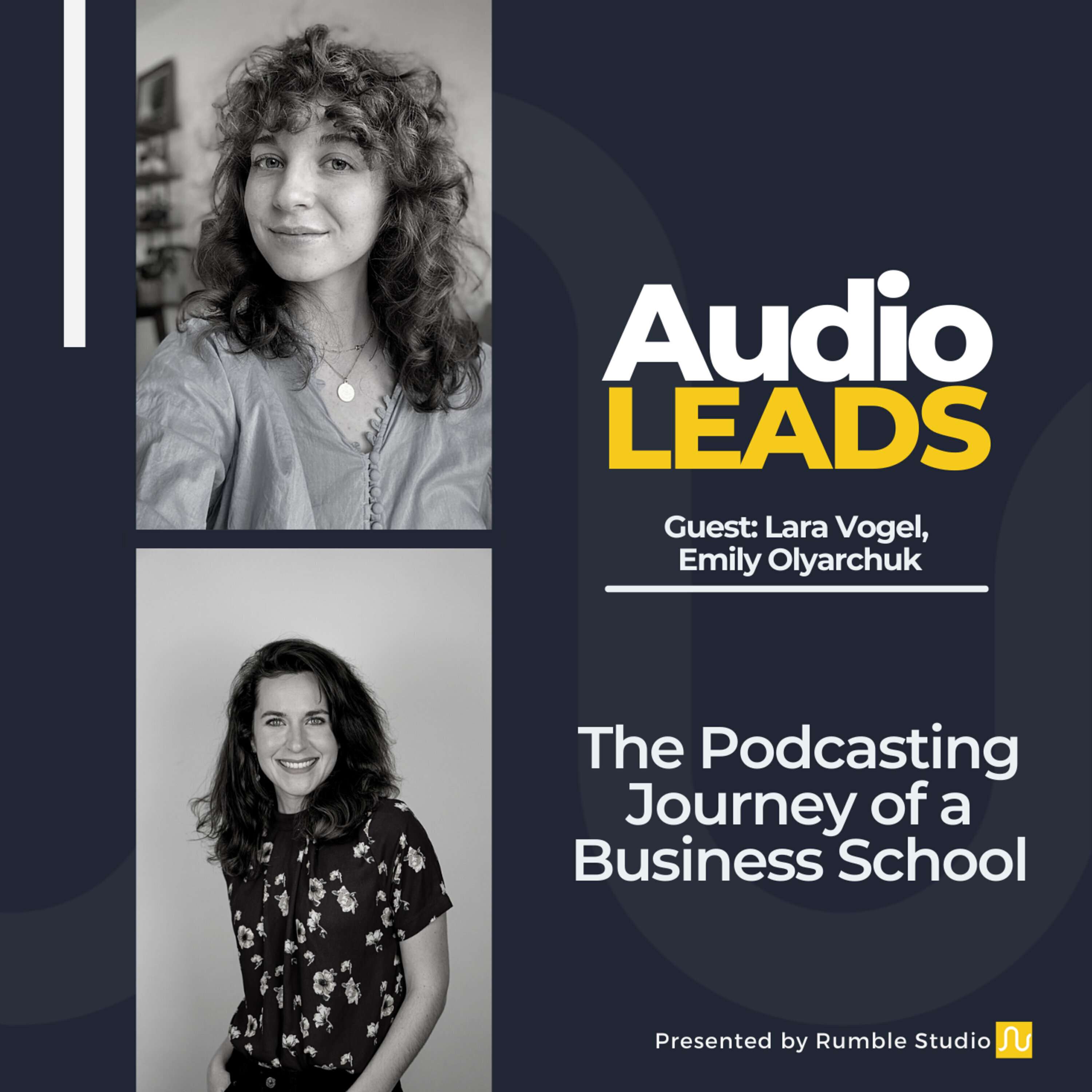 Audio Leads