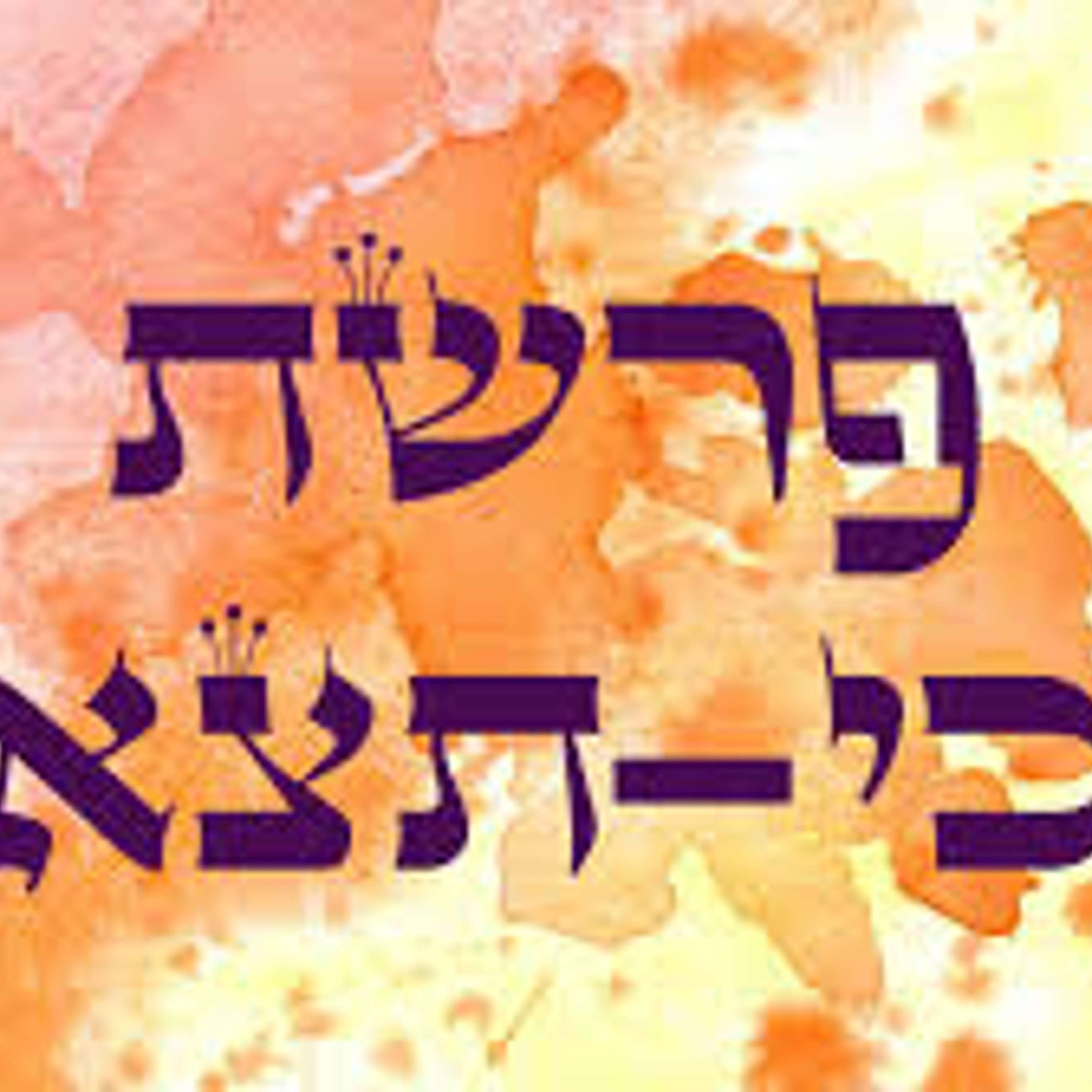 מסע אל פרשת השבוע כי תצא