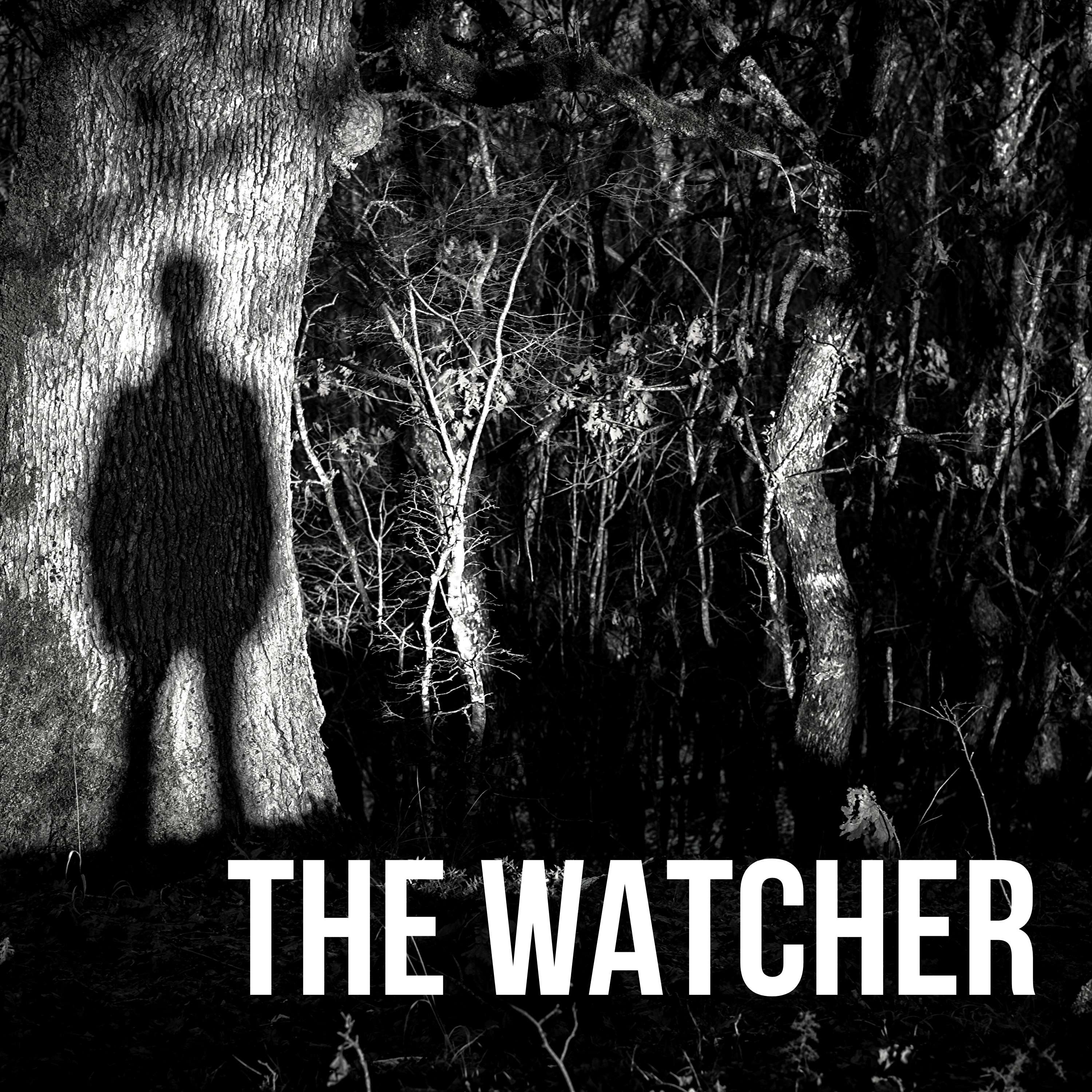 53: The Watcher