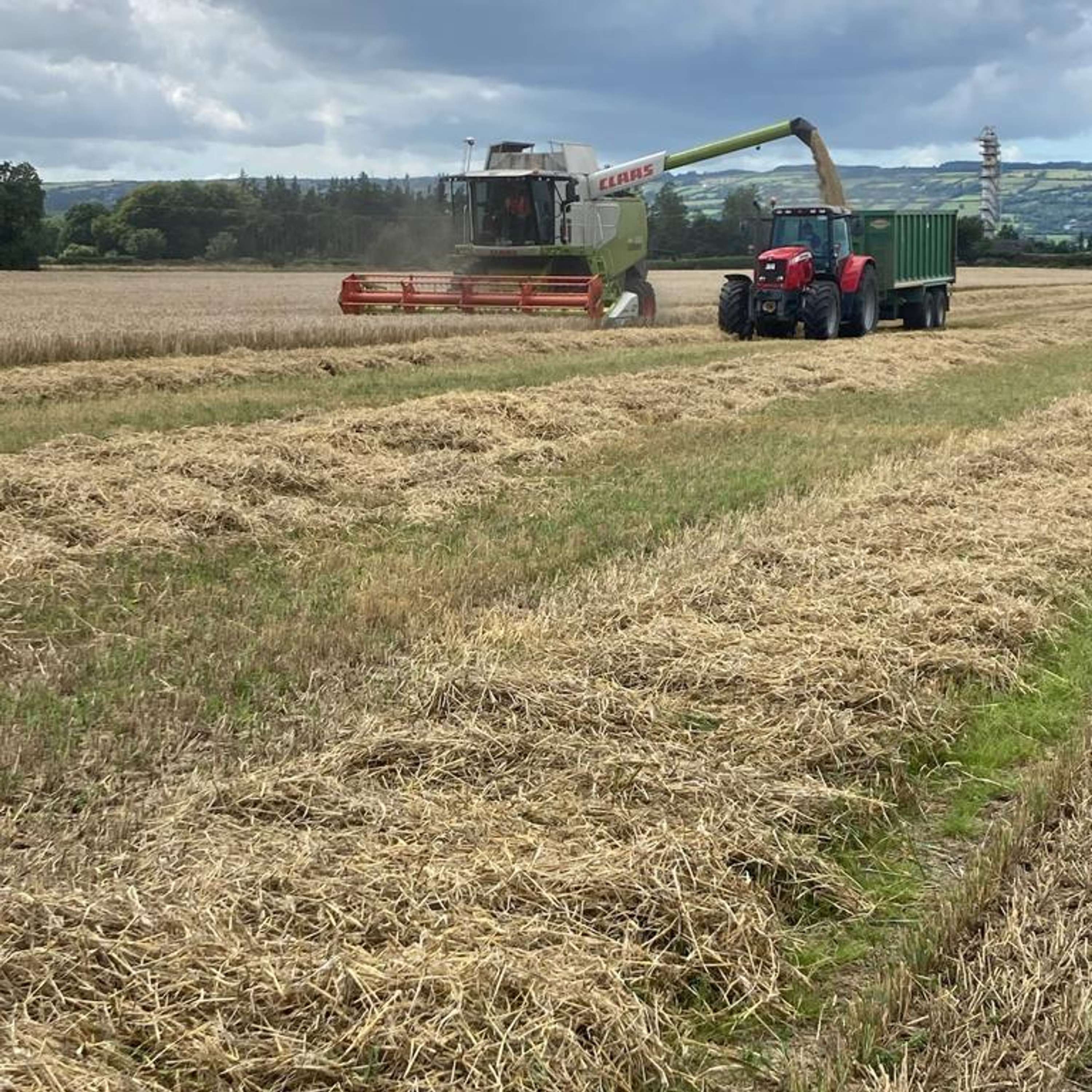 The Tillage Edge