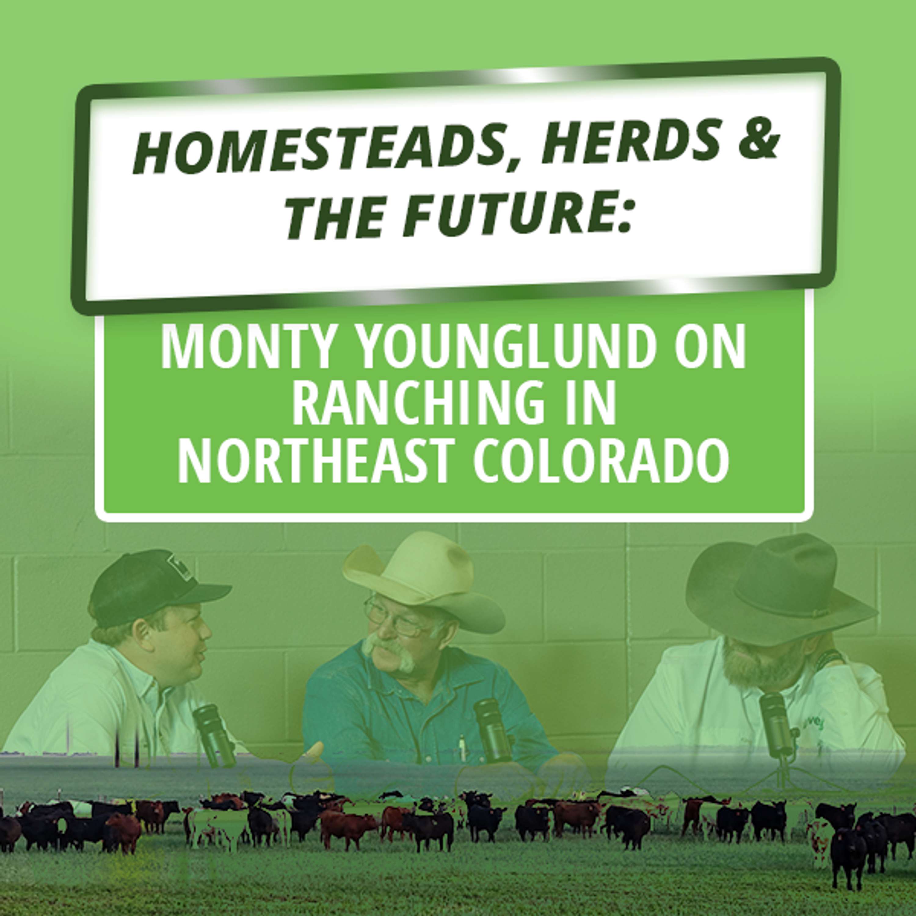 We Live It | LiveAg\'s Livestock Marketing Podcast