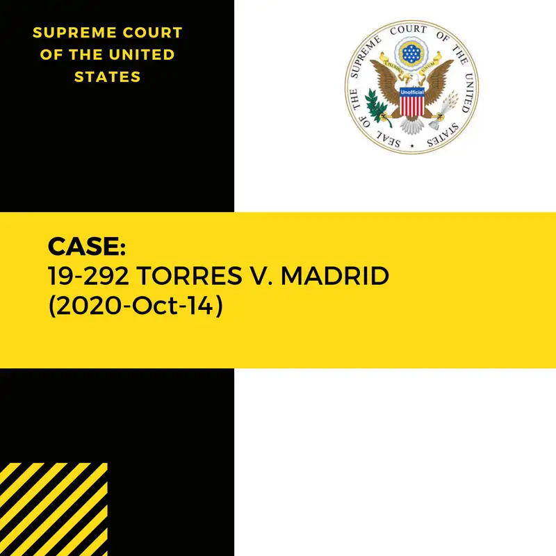 Case: 19-292 TORRES V. MADRID (2020-Oct-14)