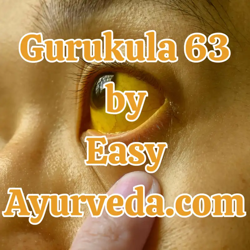 Gurukula 63: “Treatment of Jaundice in Ayurveda”