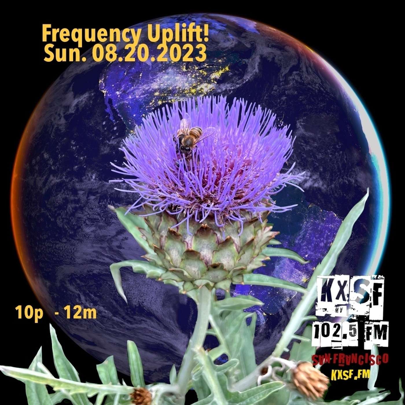 FREQUENCY UPLIFT ! SUN. 08.20.2023 ! First harvests of a new cycle episode artwork