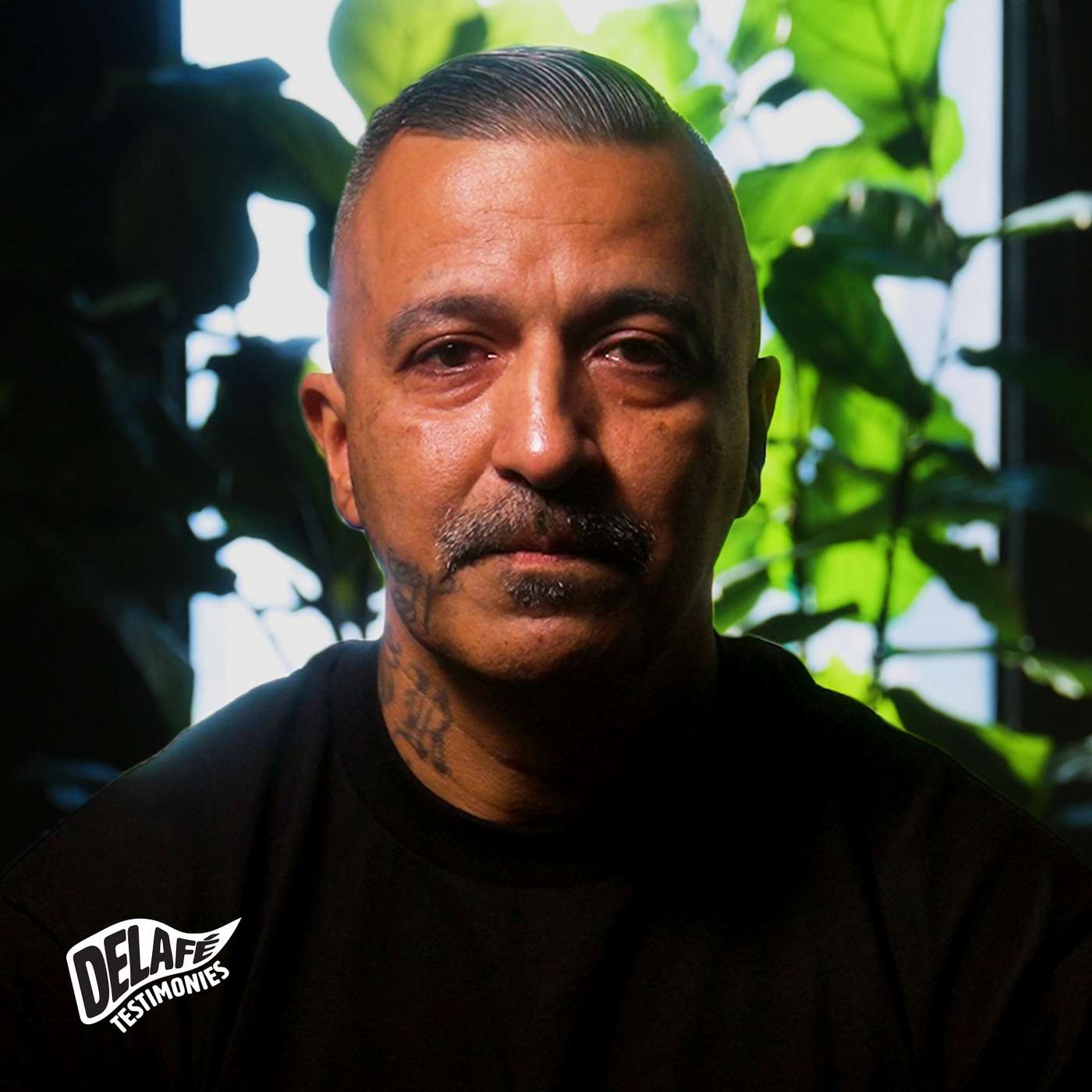 Delafé Testimonies