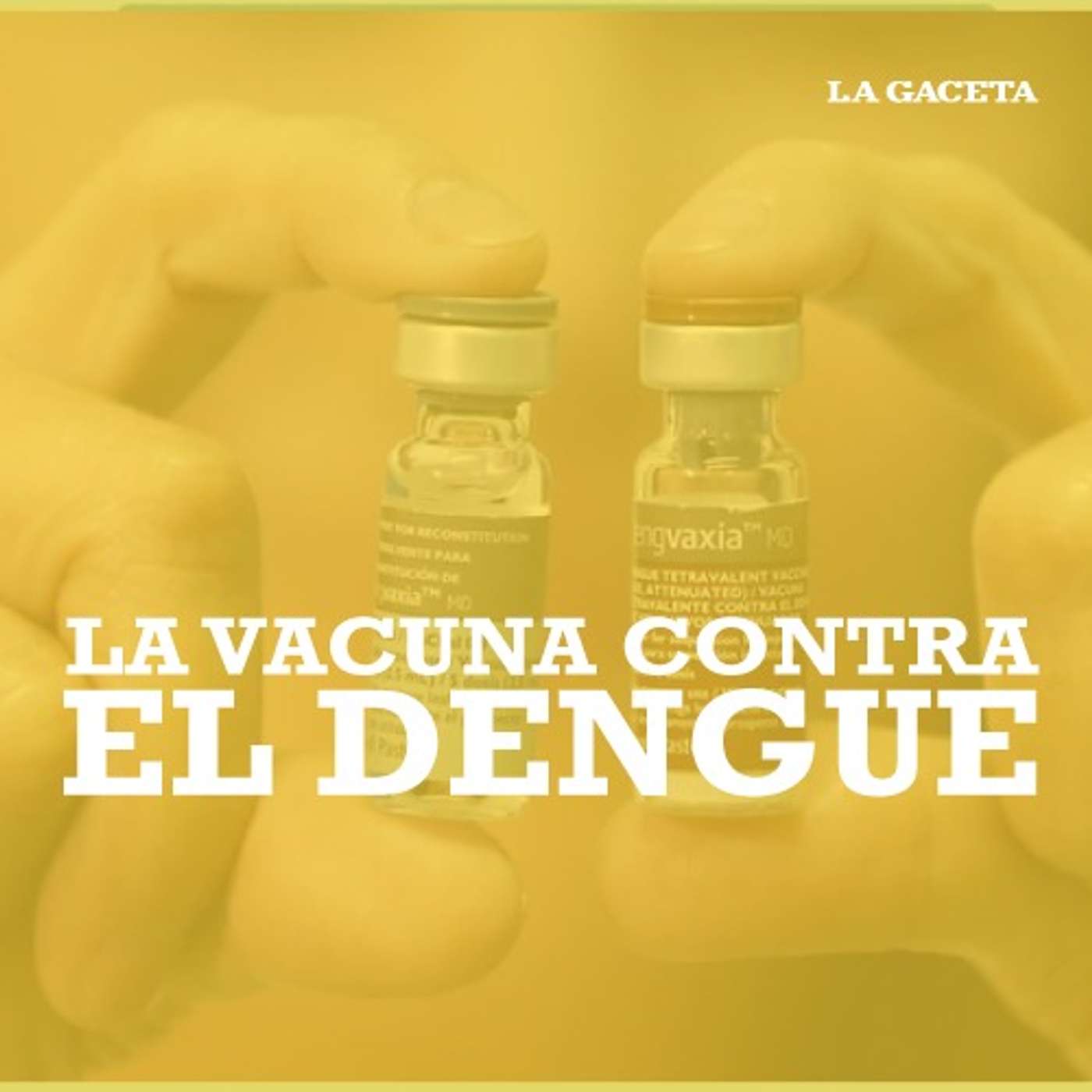 Dengue: ¿por qué todavía no se aplica una vacuna contra la epidemia? episode artwork