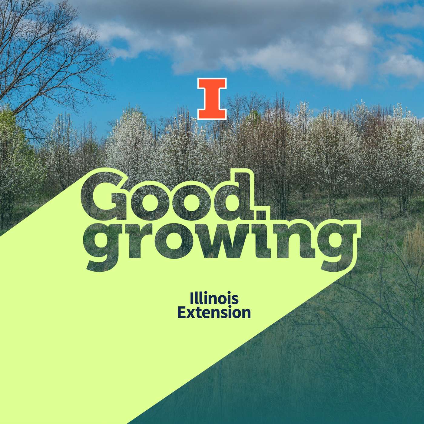 Ep. 231 New Additions to Illinois’ Invasive Species List | #GoodGrowing Ep. 231 New Additions to Illinois’ Invasive Species List | #GoodGrowing