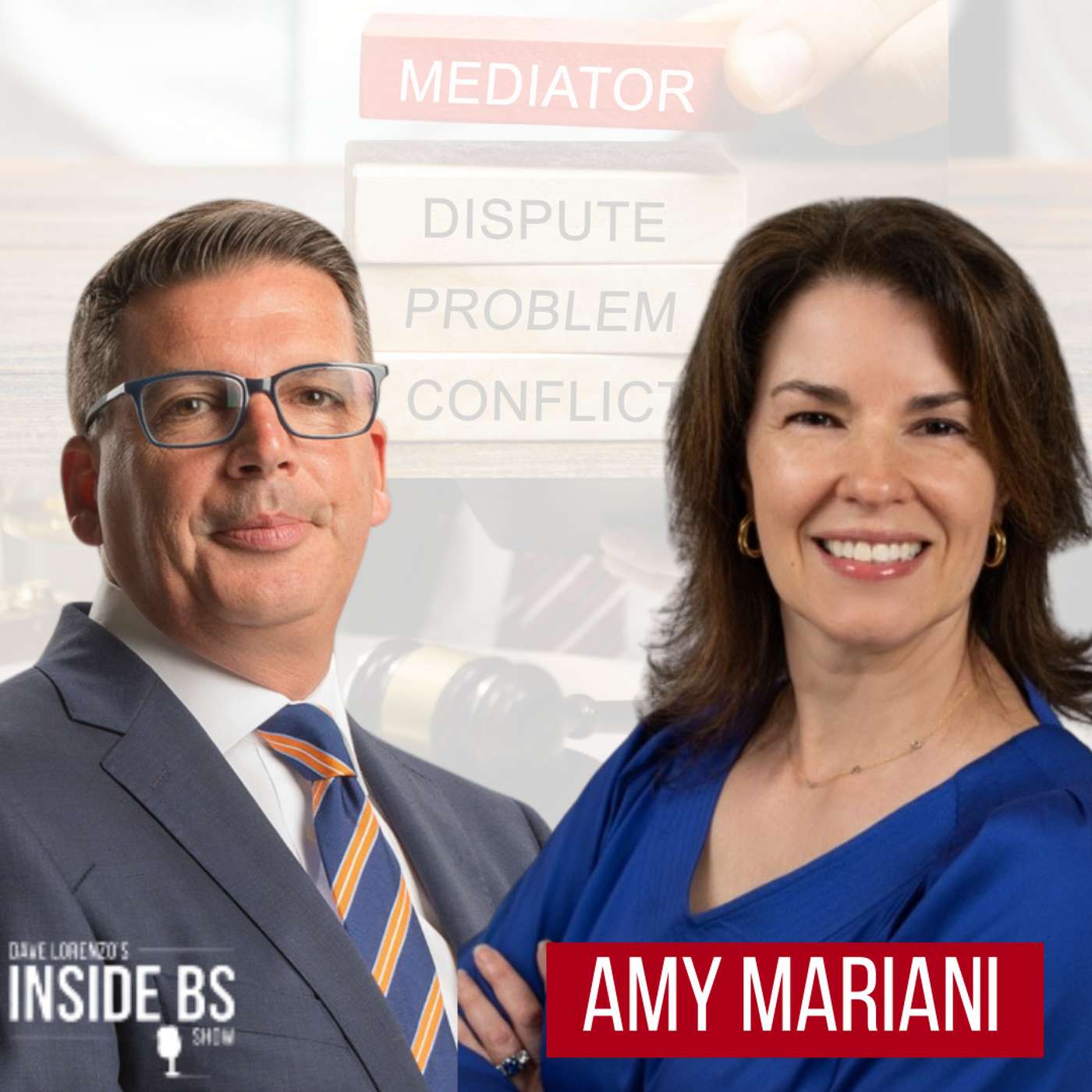 How to Become a Great Mediator and Negotiate with Anyone | Amy Mariani | 482