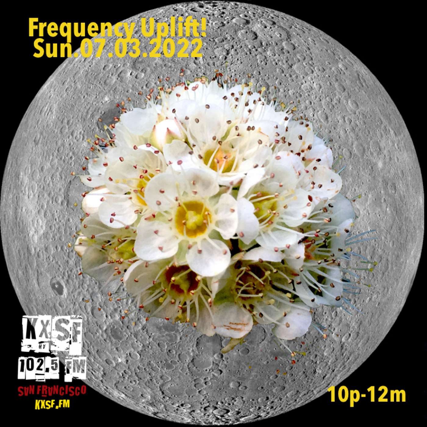 FREQUENCY UPLIFT ! SUN. 07.03.2022. flowers from the farside… [those rockets' red glare] episode artwork
