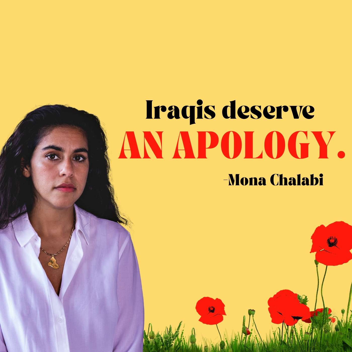Iraqis Deserve an Apology | Mona Chalabi on the Seeds