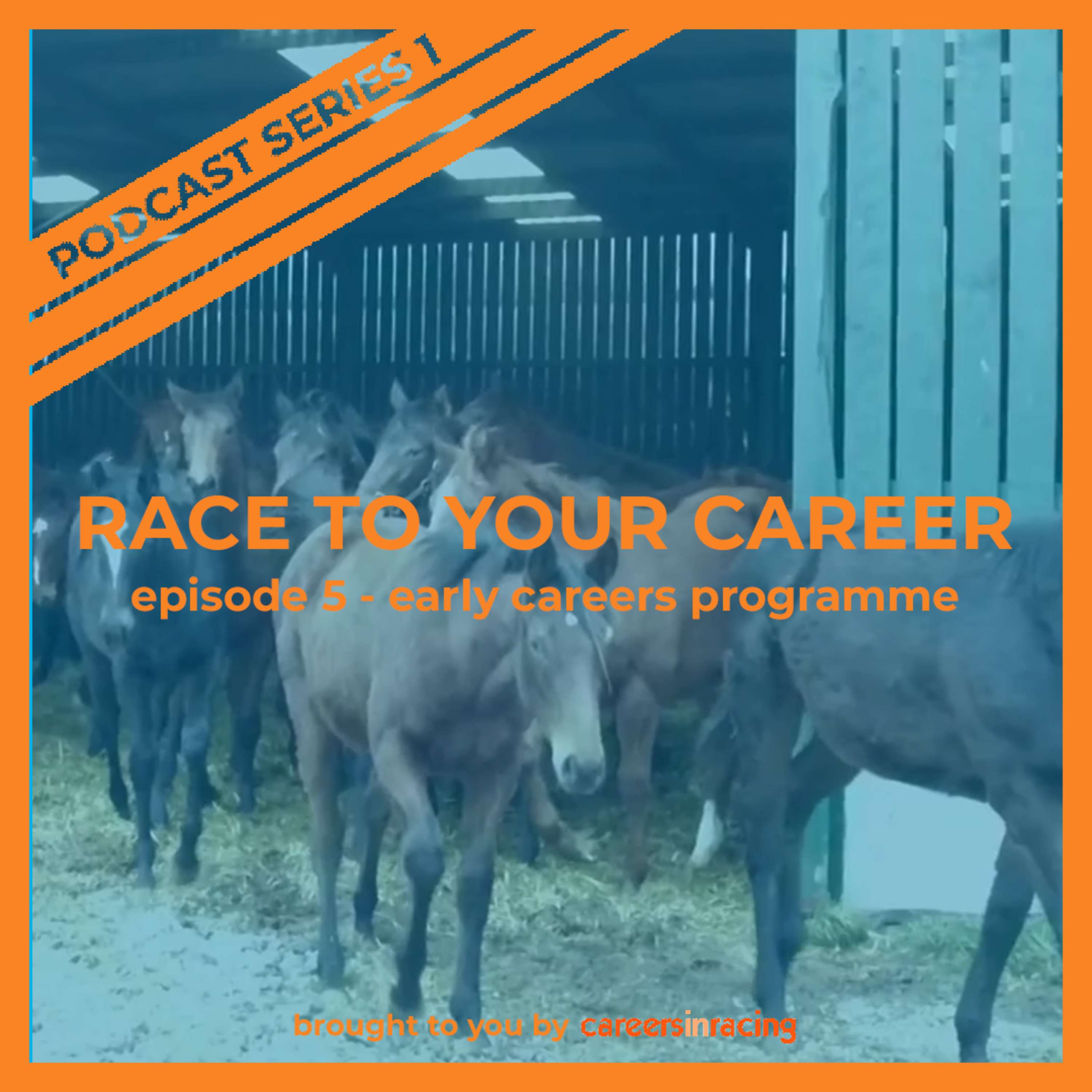 Race to your Career