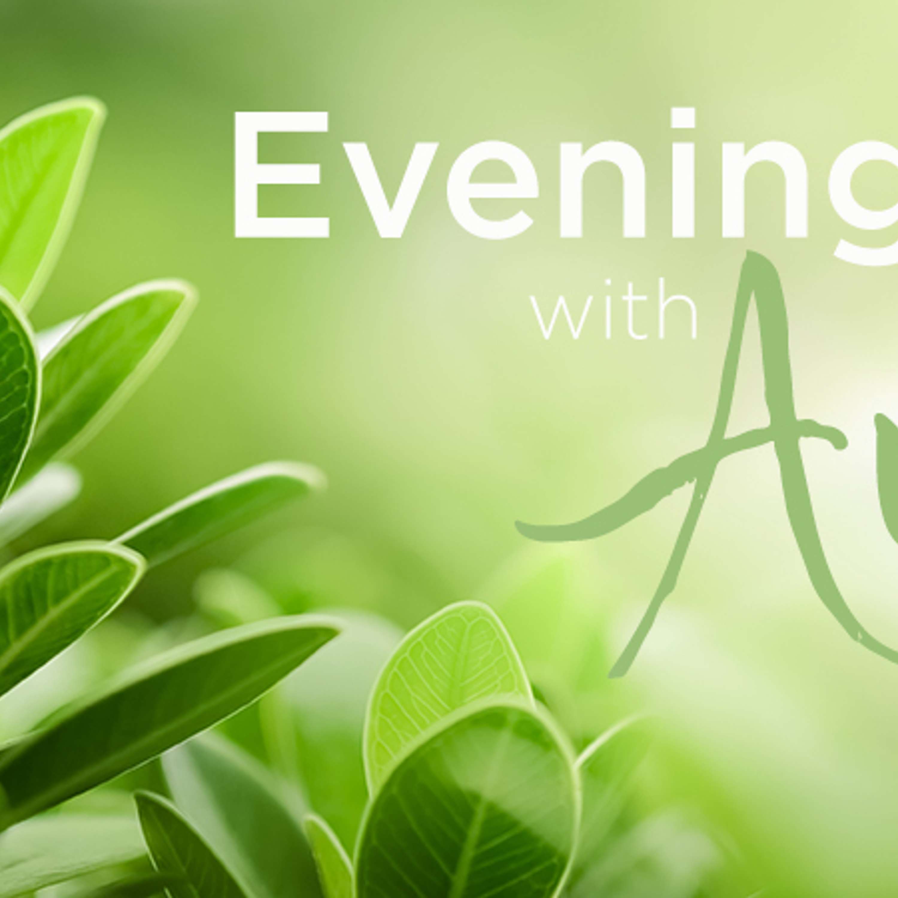 Evenings with Ann