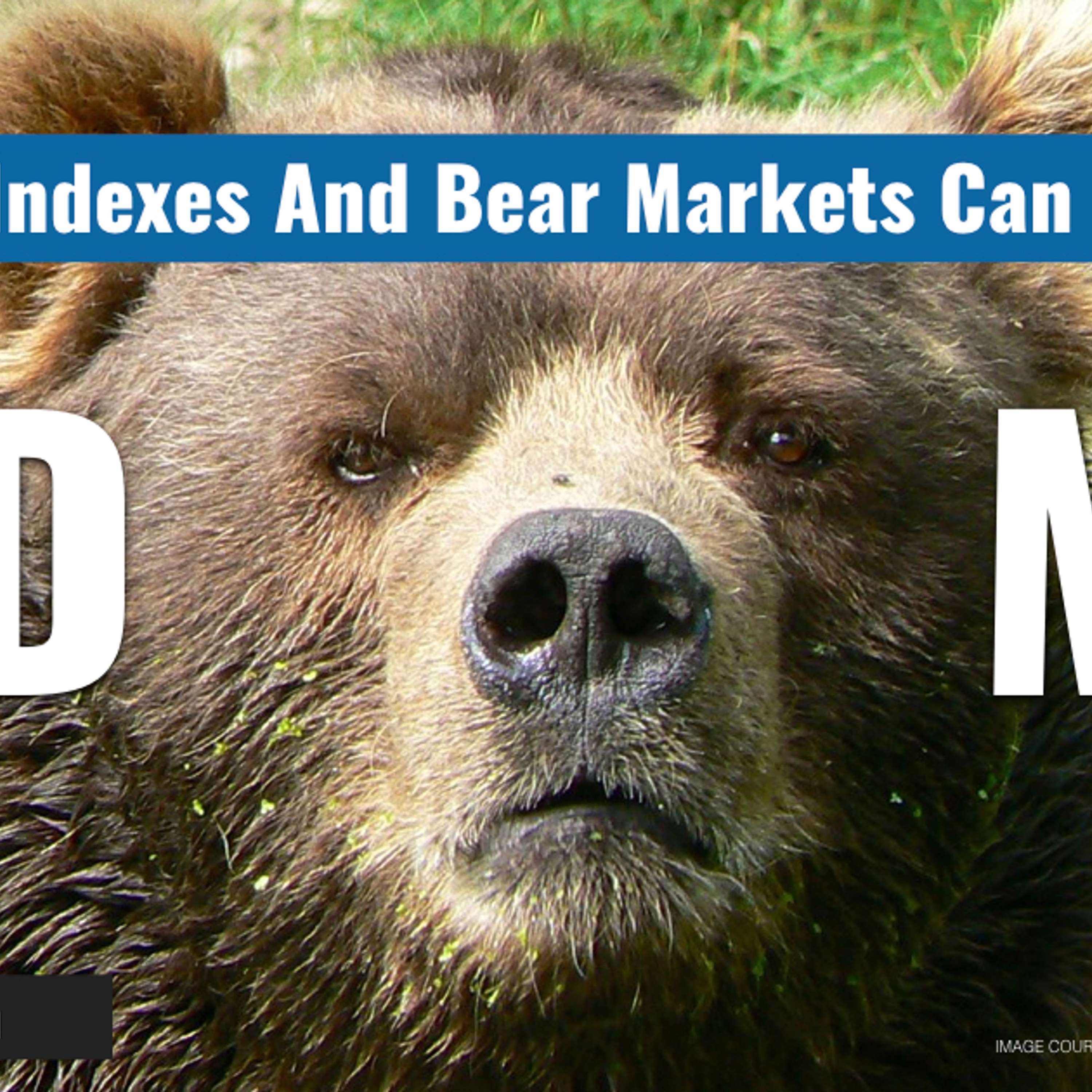 #189 -  How Indexes and Bear Markets Can Make a Bad Mix