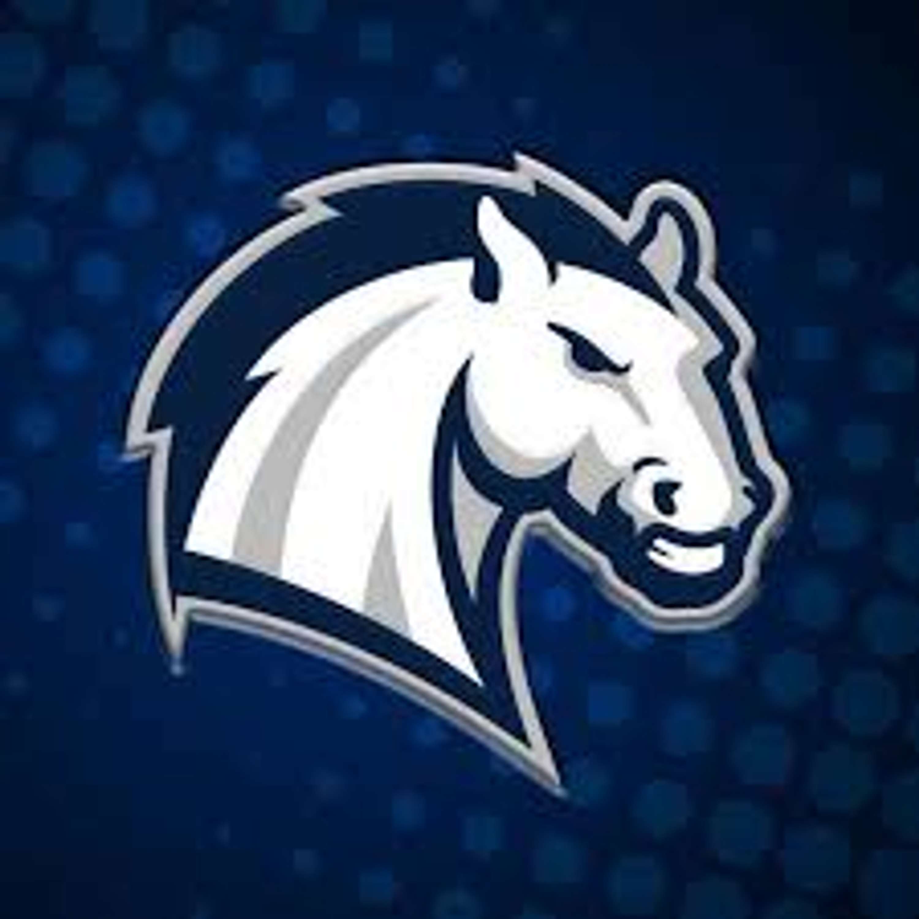 WRFH/Radio Free Hillsdale 101.7 FM