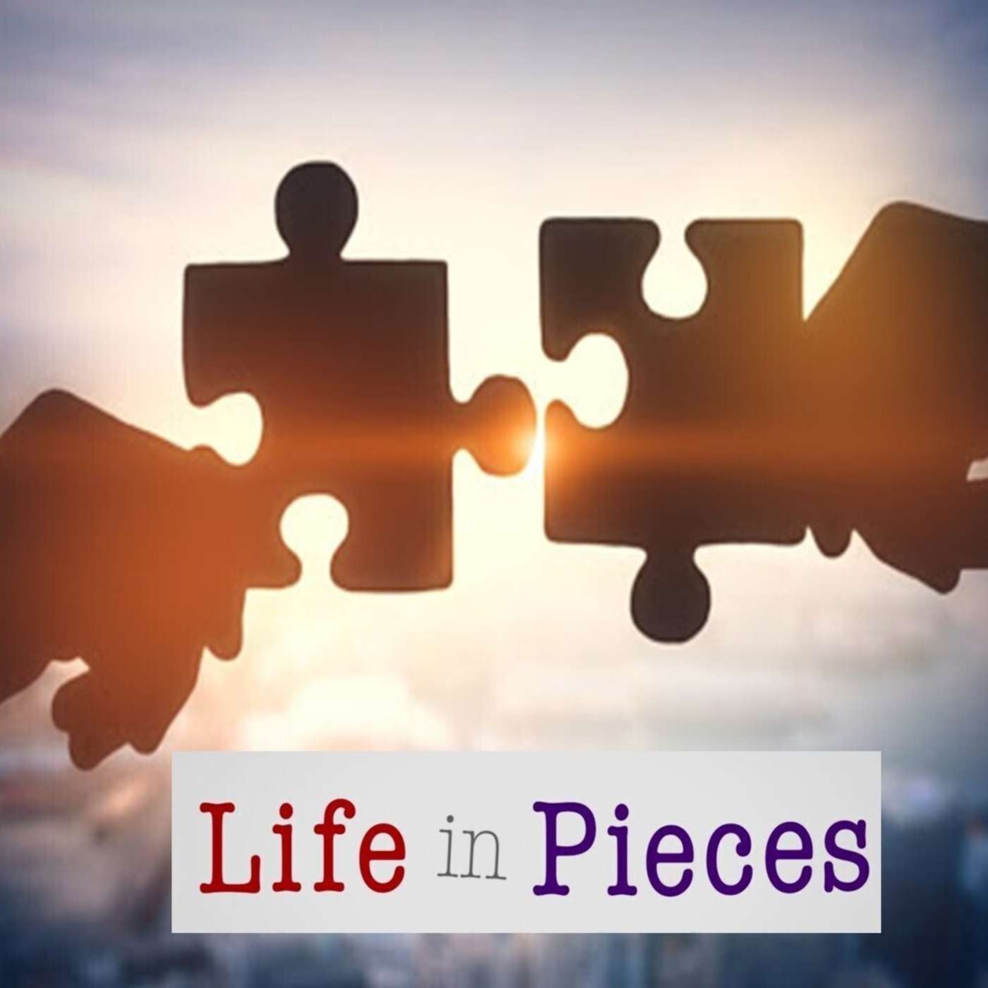 Life in Pieces: Roller Coaster