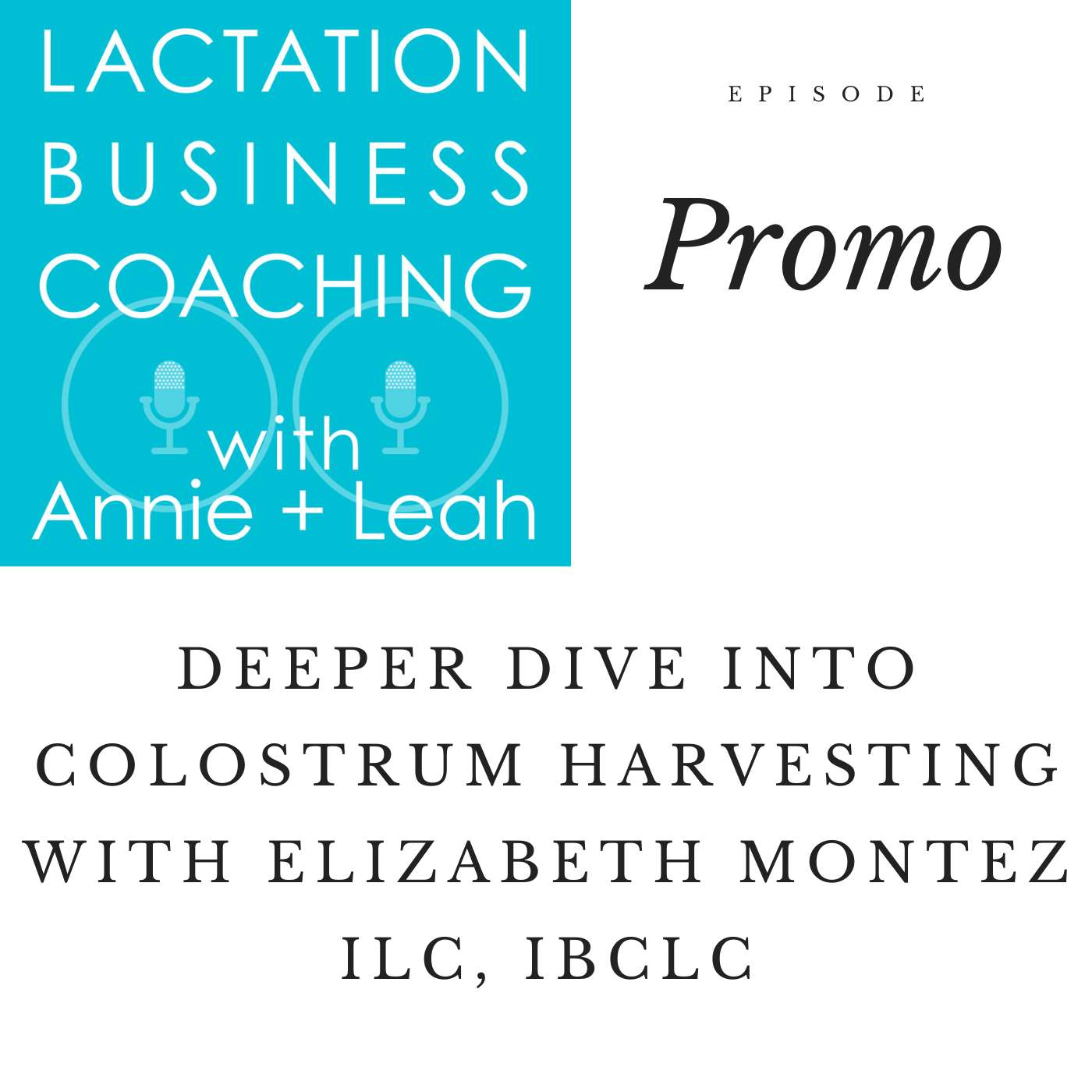 Lactation Business Coaching with Annie and Leah