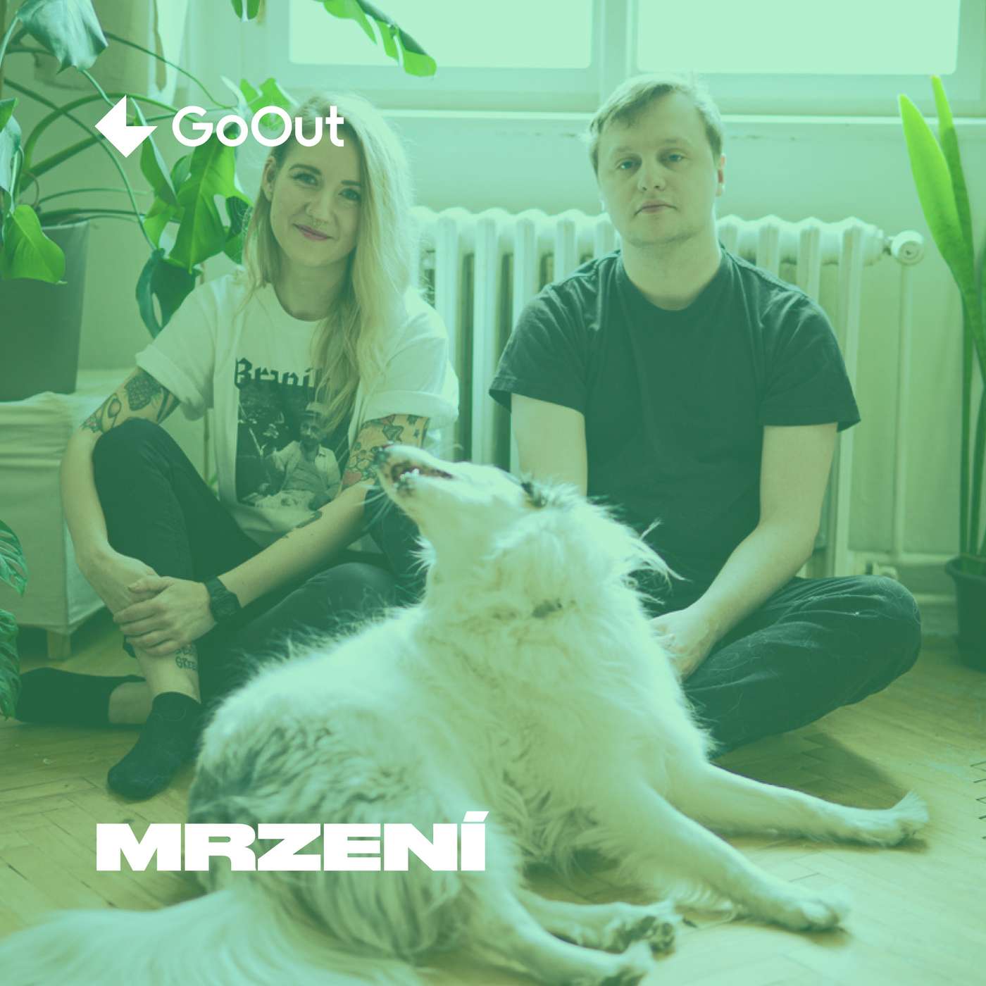 Mrzení