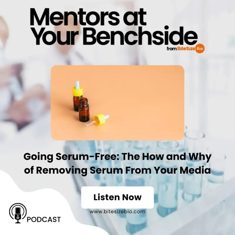 The How and Why of Removing Serum From Your Media