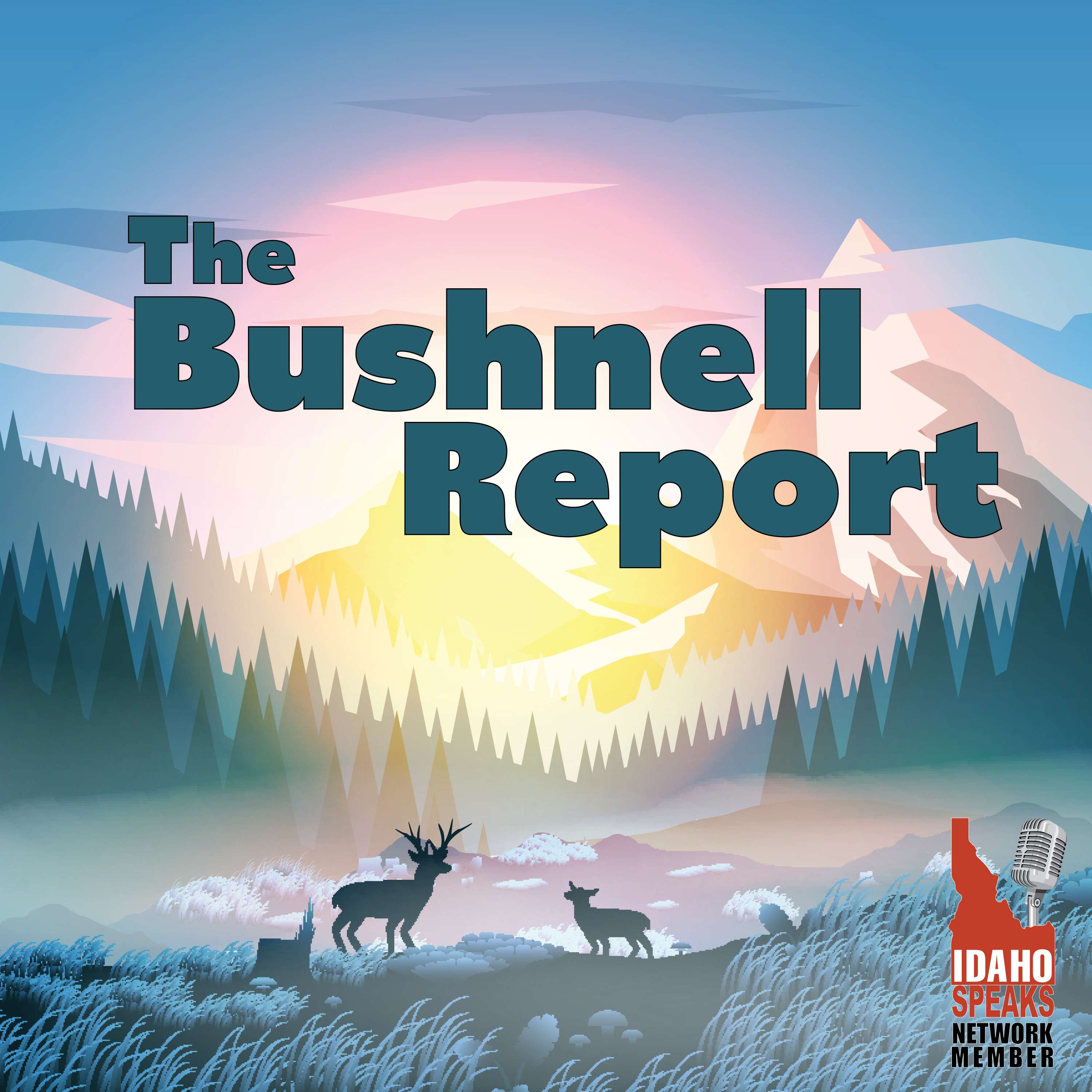 The Bushnell Report Talks About Kootenai Health Becoming a 501(c)3