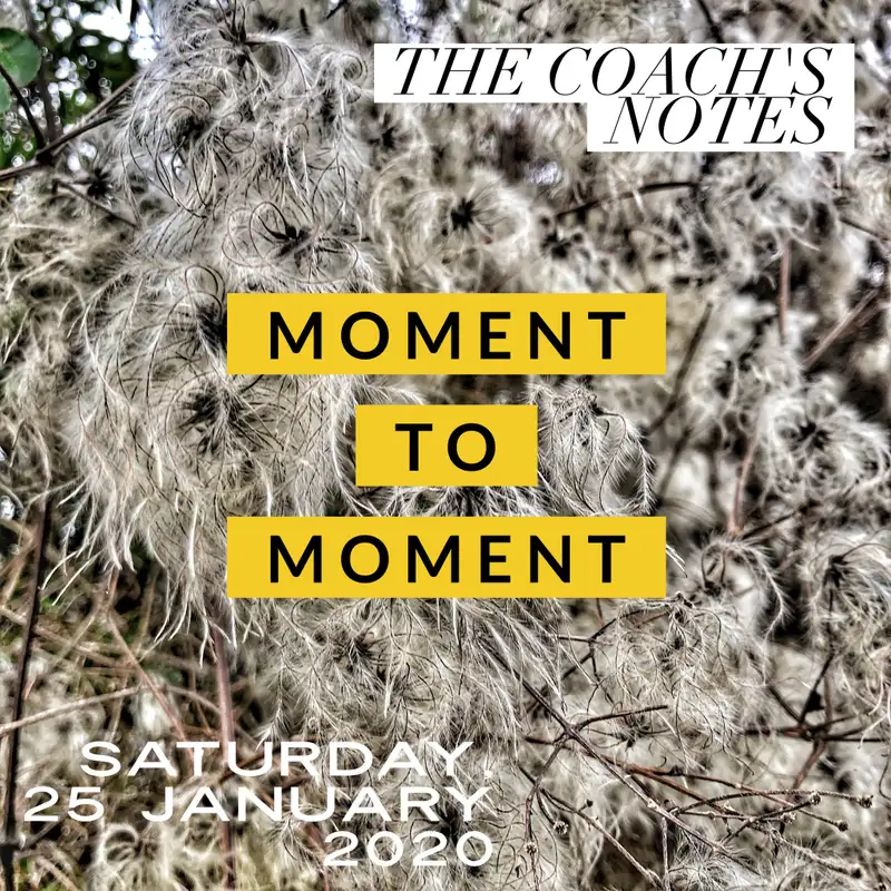 Moment to Moment
